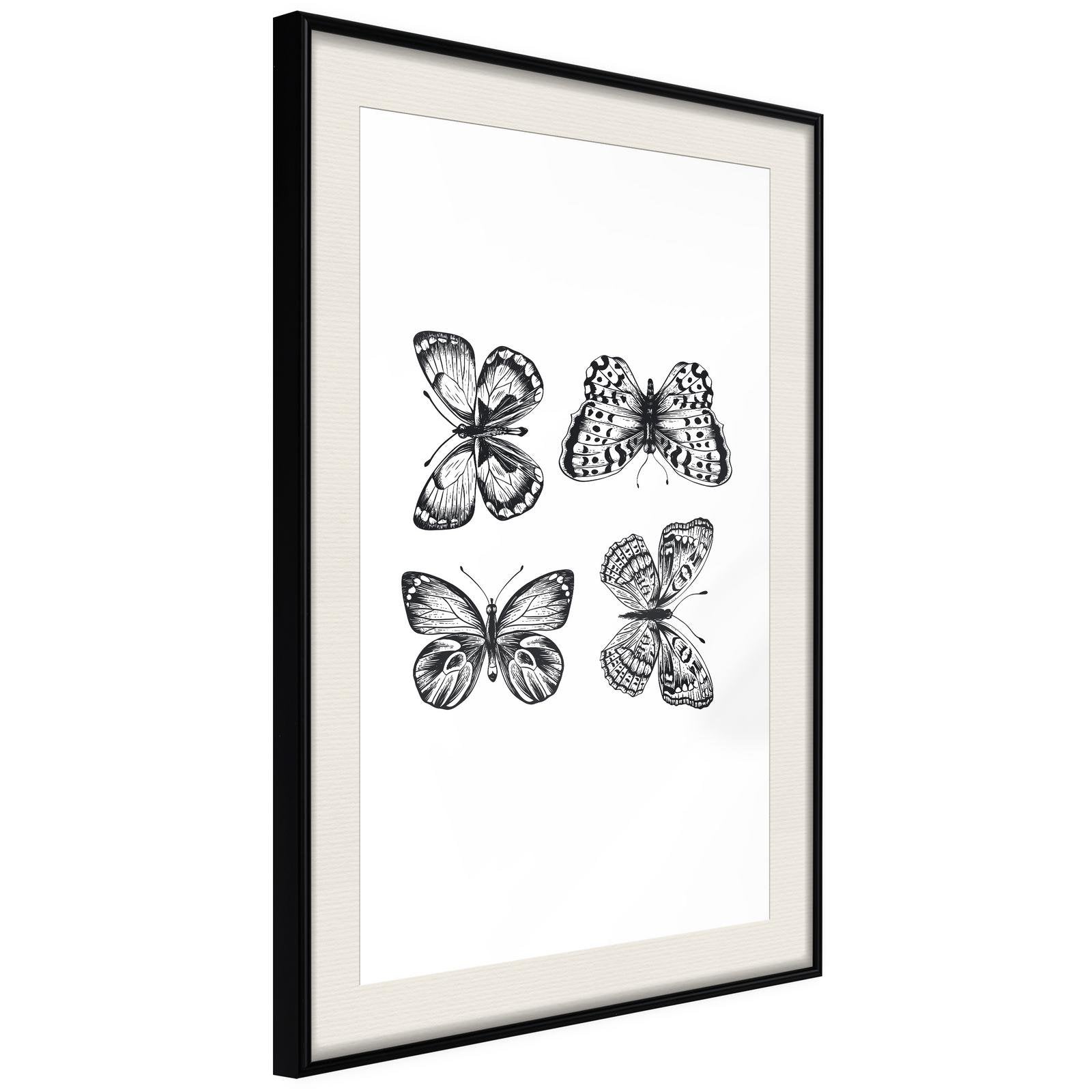 Läs mer om Inramad Poster / Tavla - Butterfly Collection III - 20x30 Svart ram med passepartout