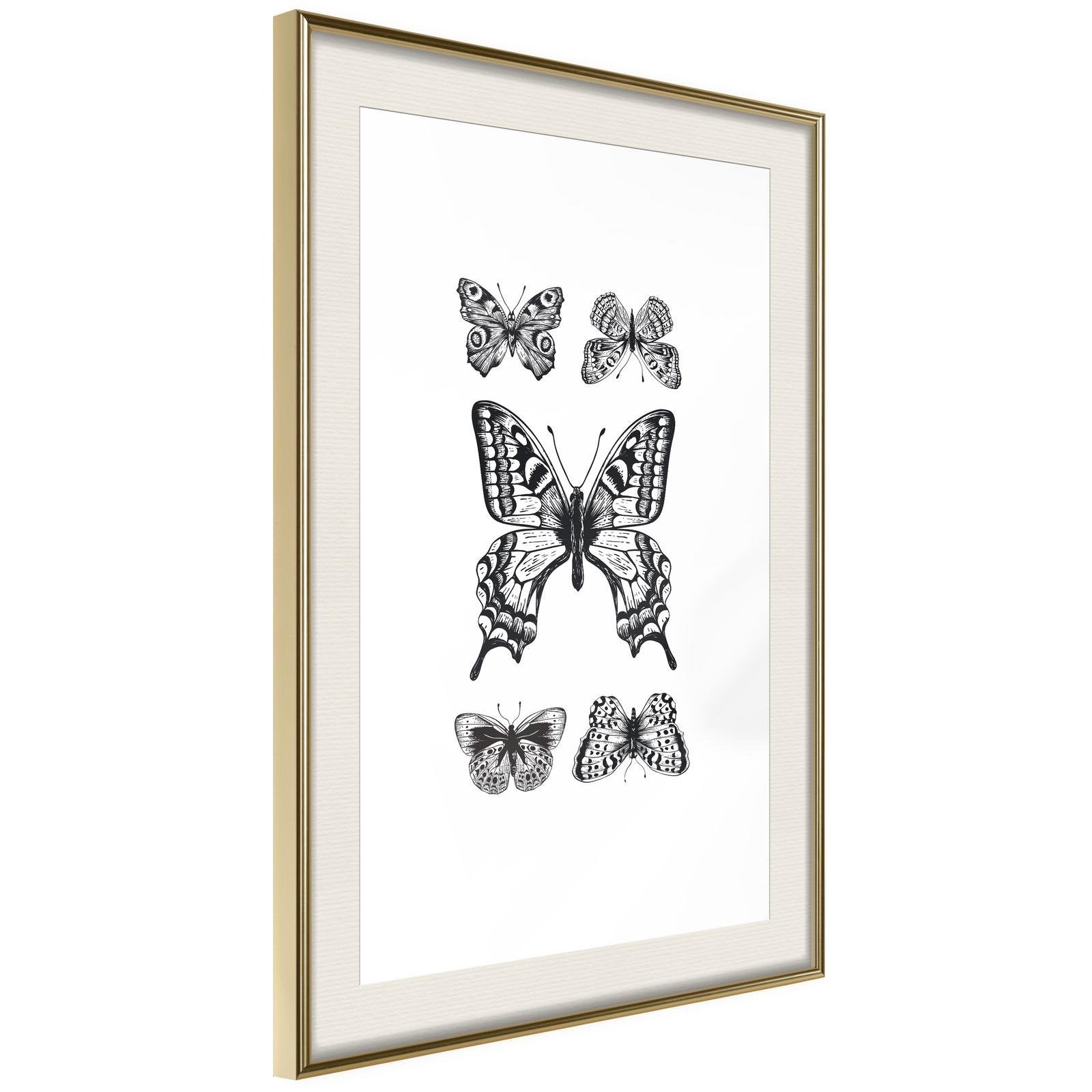Läs mer om Inramad Poster / Tavla - Butterfly Collection IV - 20x30 Guldram med passepartout
