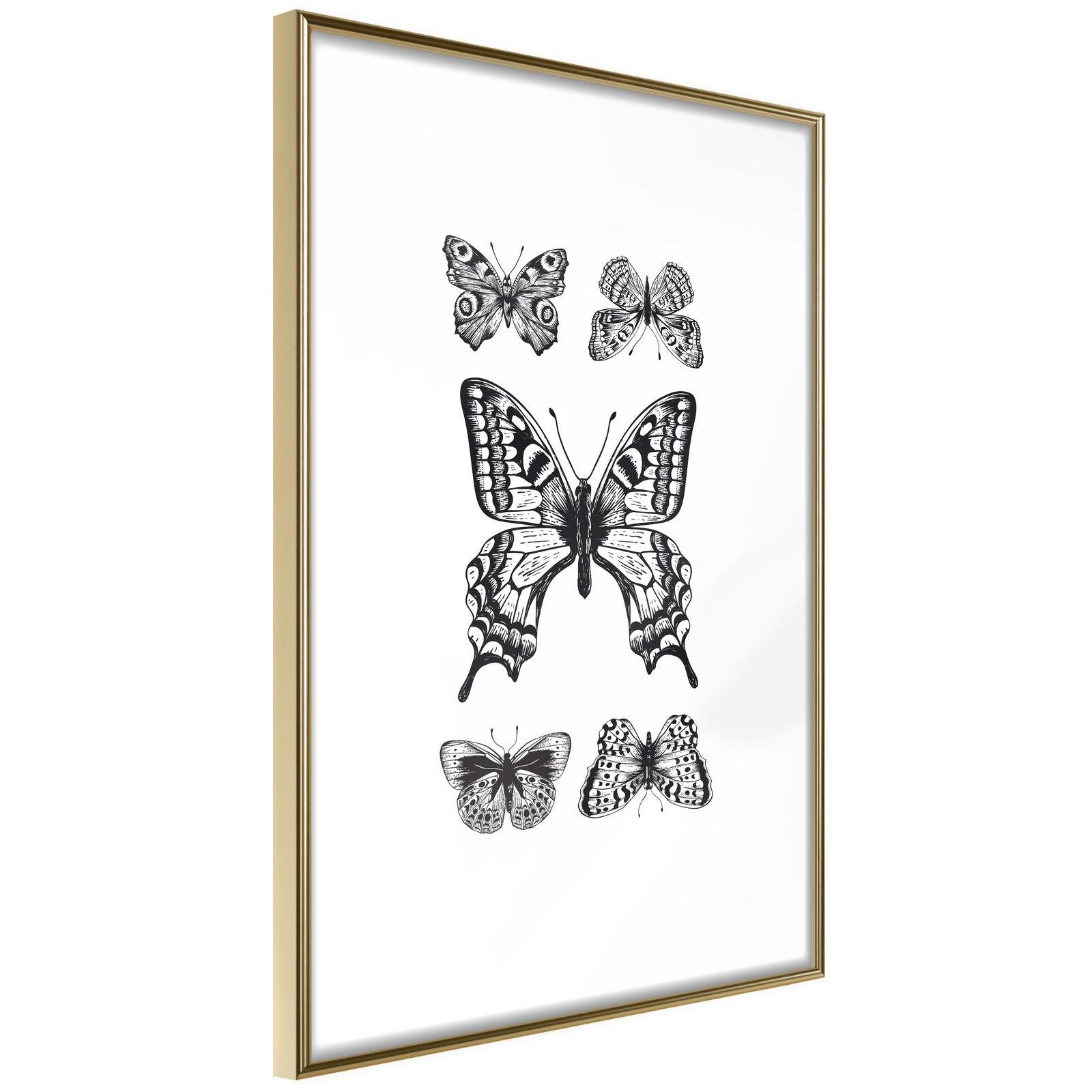Läs mer om Inramad Poster / Tavla - Butterfly Collection IV - 40x60 Guldram
