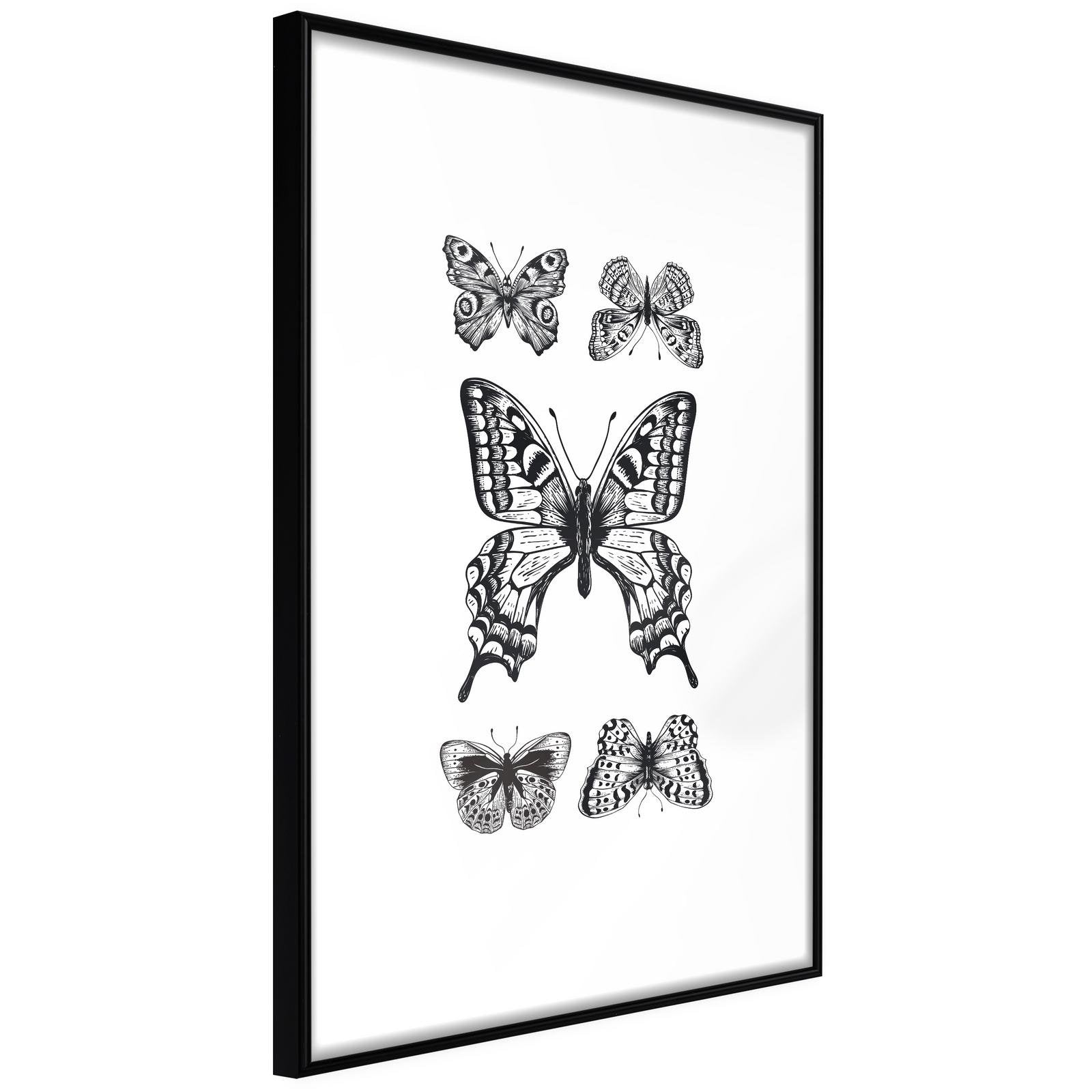 Läs mer om Inramad Poster / Tavla - Butterfly Collection IV - 40x60 Svart ram
