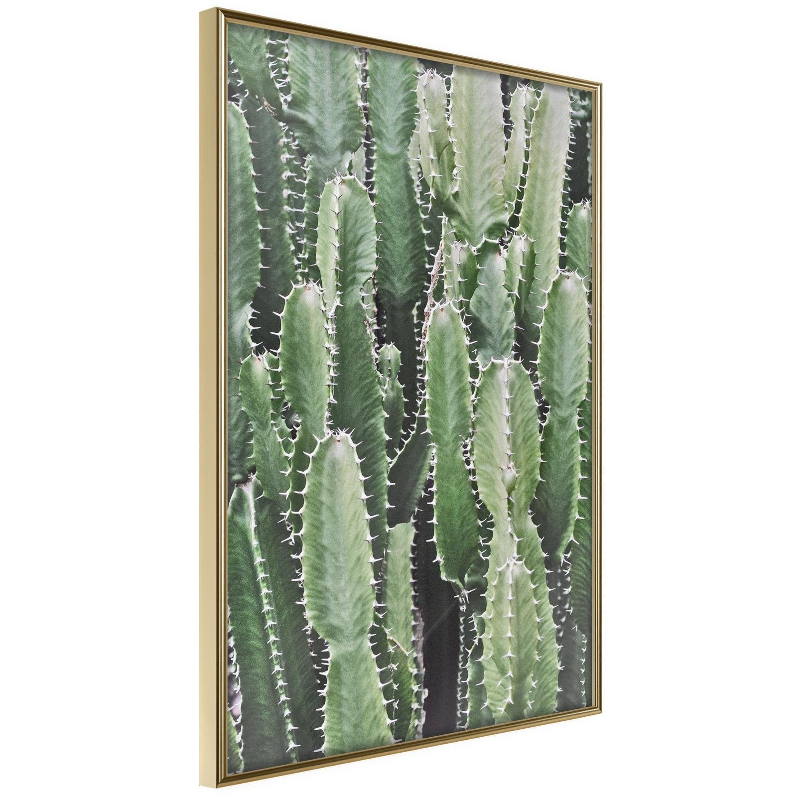 Inramad Poster / Tavla - Cactus Plantation - 20x30 Guldram