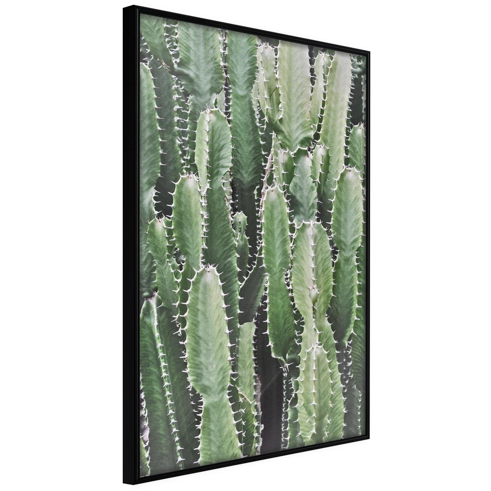 Inramad Poster / Tavla - Cactus Plantation - 40x60 Svart ram