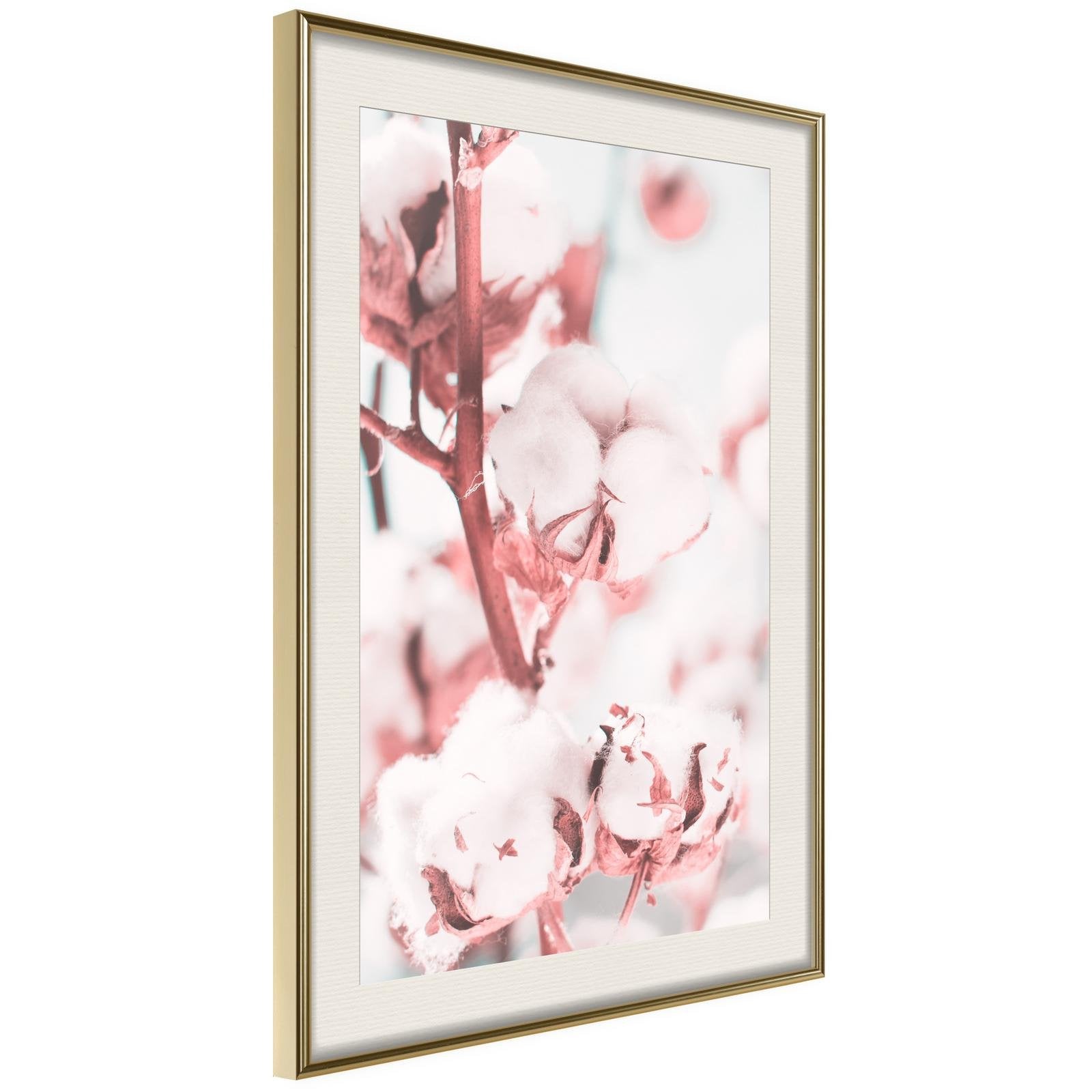Läs mer om Inramad Poster / Tavla - Cotton Flowers - 40x60 Guldram med passepartout
