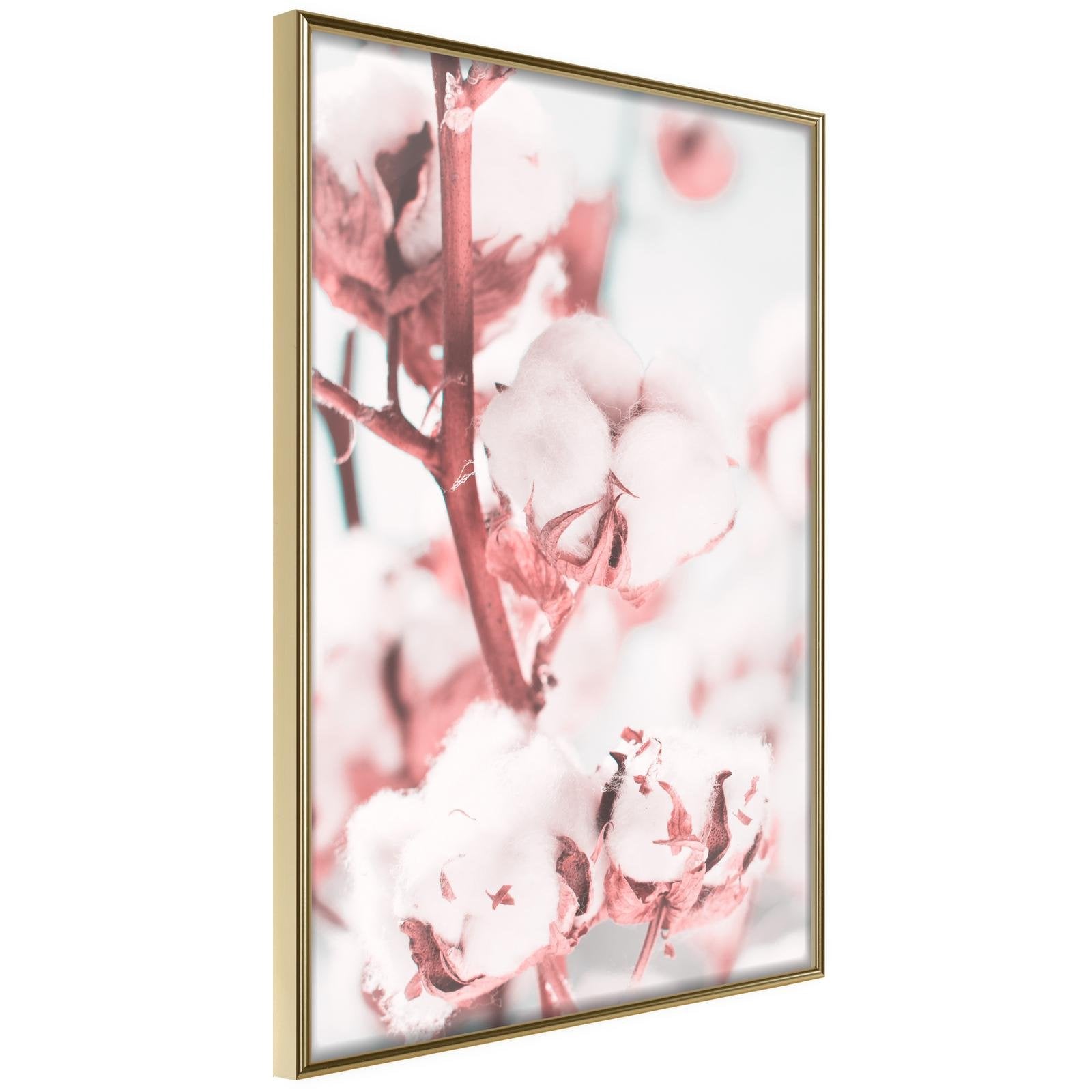 Läs mer om Inramad Poster / Tavla - Cotton Flowers - 20x30 Guldram