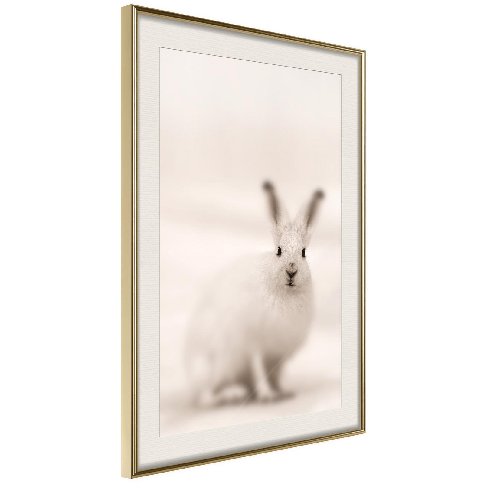 Läs mer om Inramad Poster / Tavla - Curious Rabbit - 30x45 Guldram med passepartout