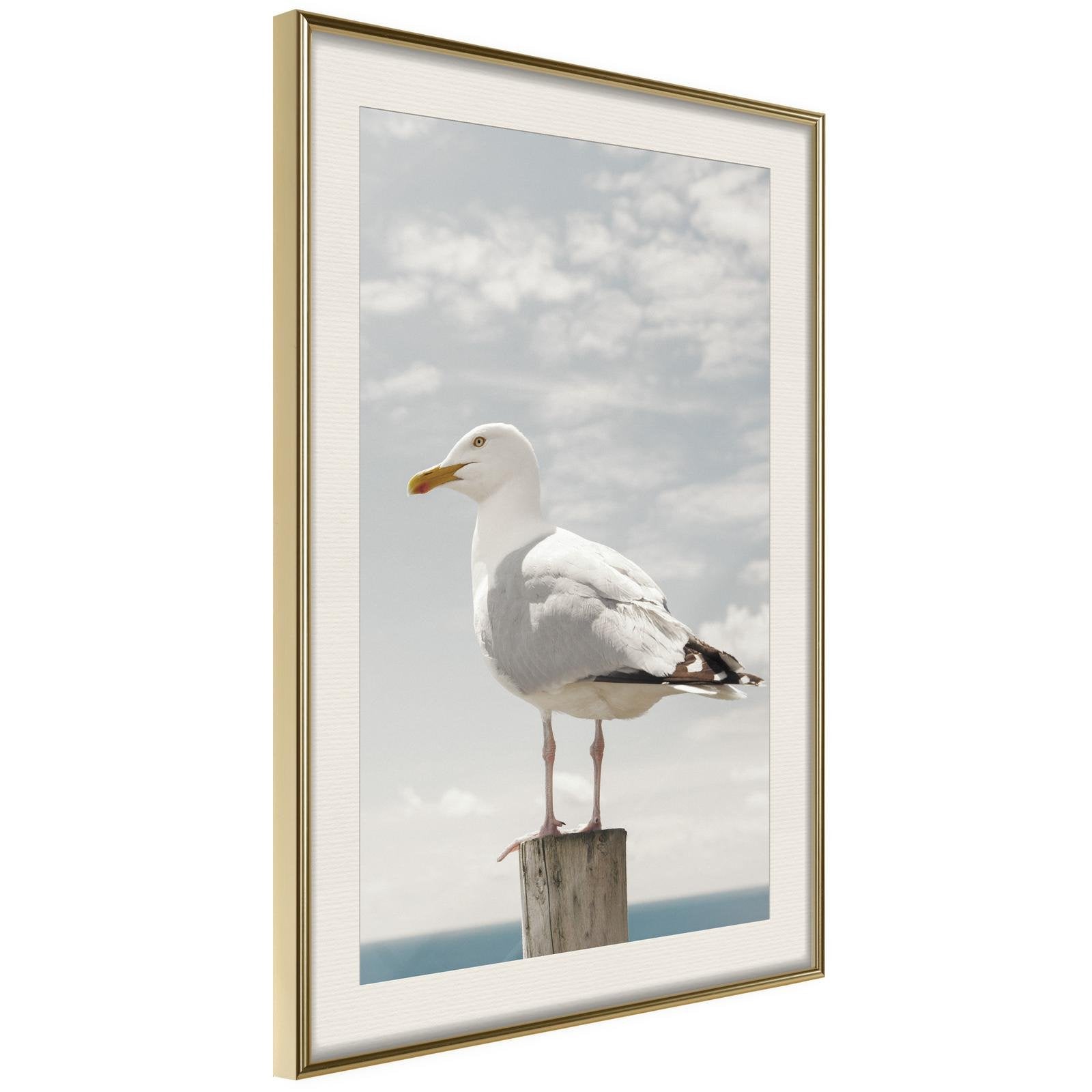 Läs mer om Inramad Poster / Tavla - Curious Seagull - 40x60 Guldram med passepartout