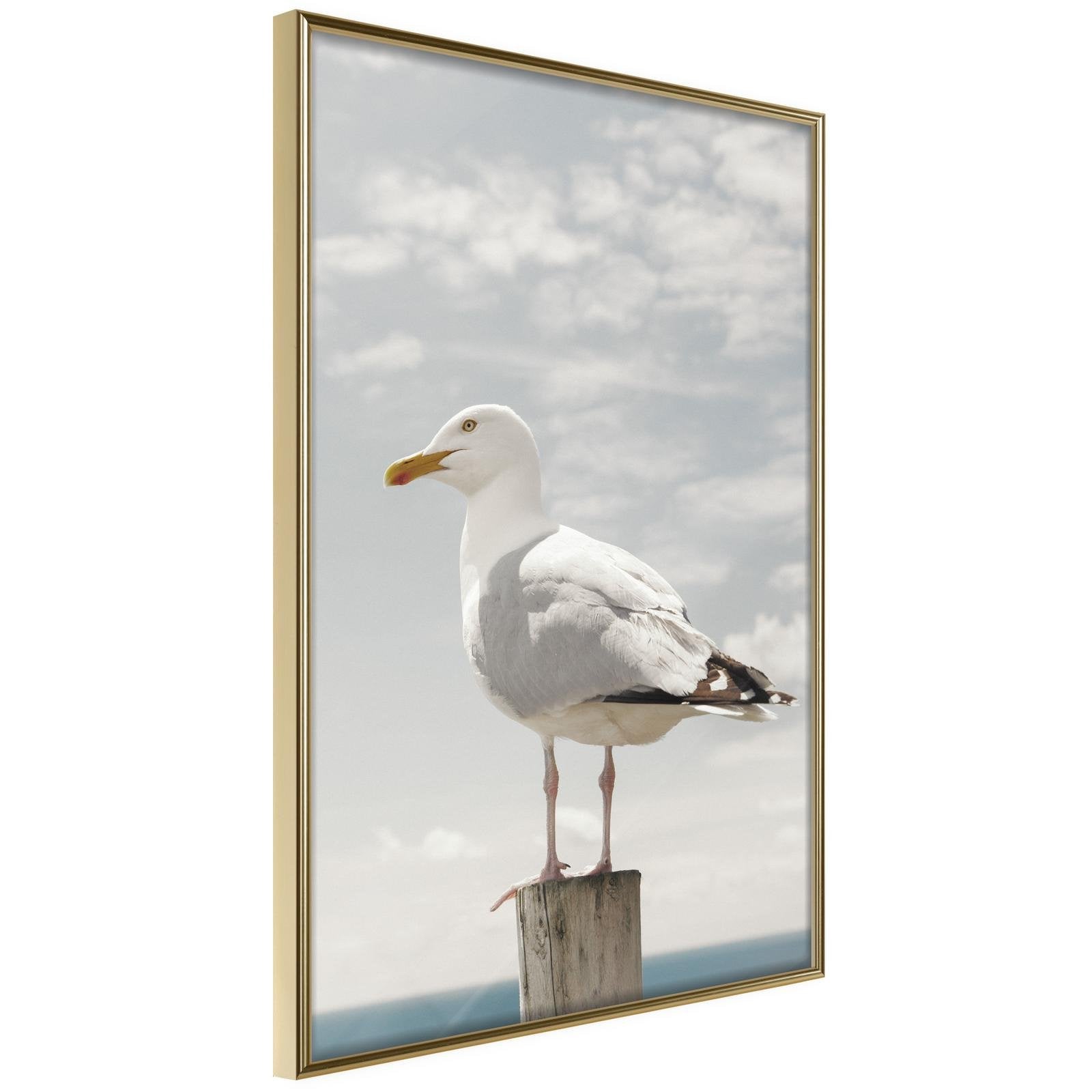 Inramad Poster / Tavla - Curious Seagull - 20x30 Guldram