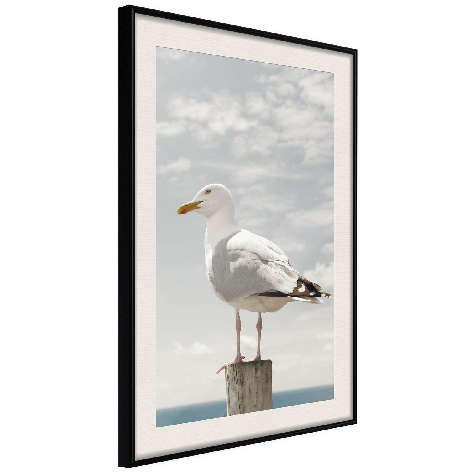 Läs mer om Inramad Poster / Tavla - Curious Seagull - 20x30 Svart ram med passepartout