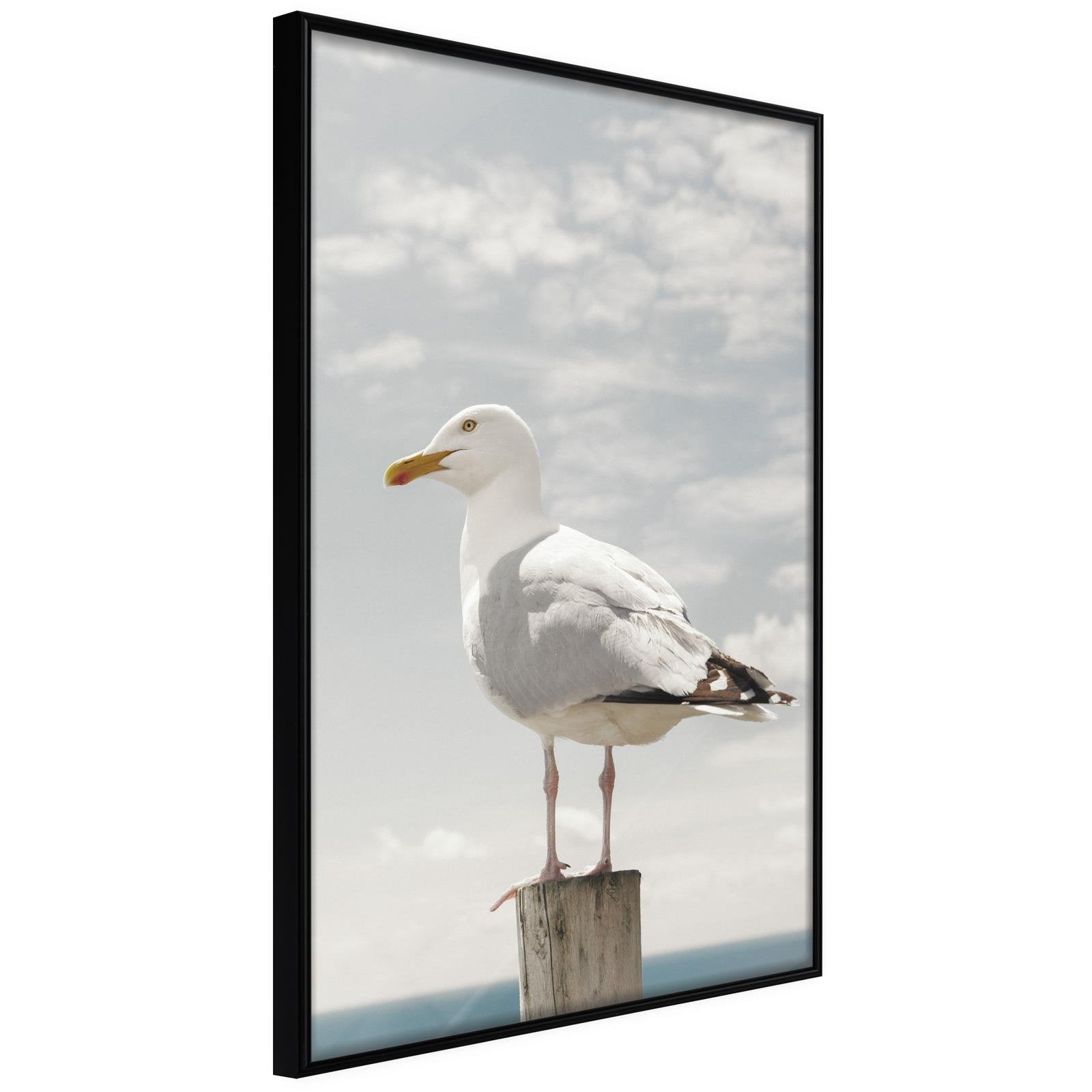 Läs mer om Inramad Poster / Tavla - Curious Seagull - 20x30 Svart ram