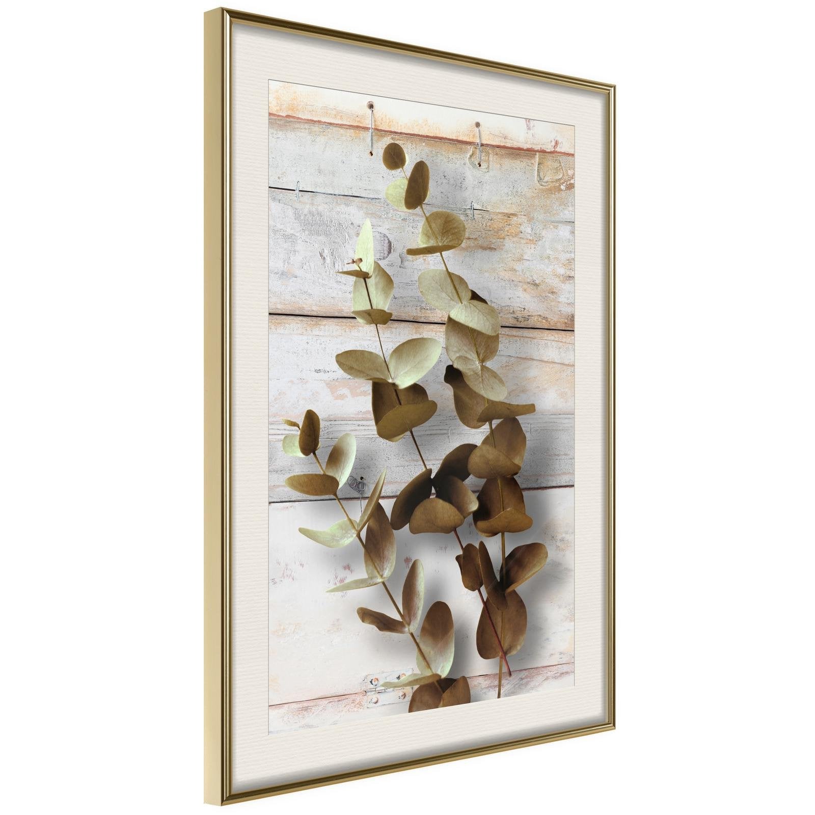Läs mer om Inramad Poster / Tavla - Decorative Twigs - 40x60 Guldram med passepartout
