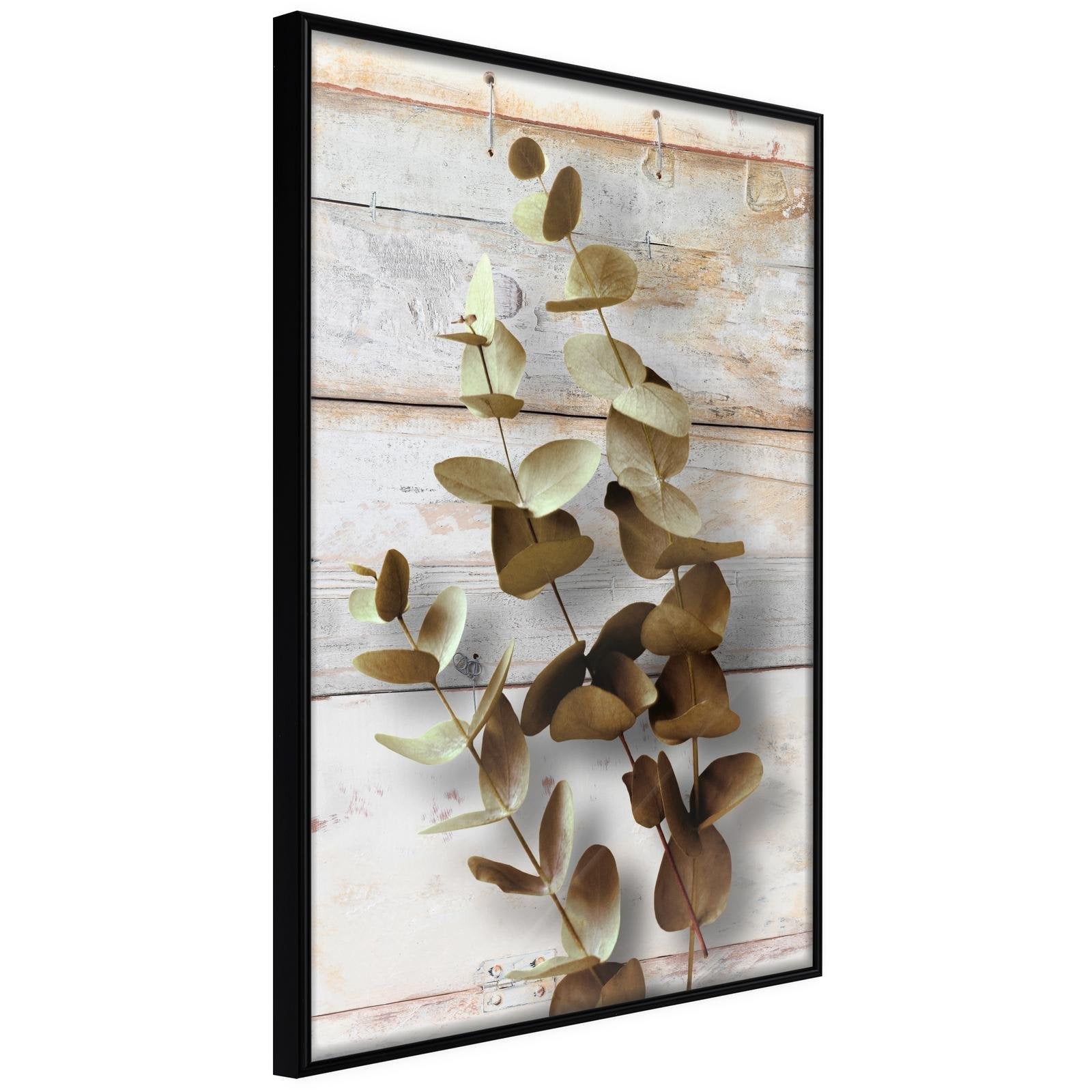 Läs mer om Inramad Poster / Tavla - Decorative Twigs - 20x30 Svart ram