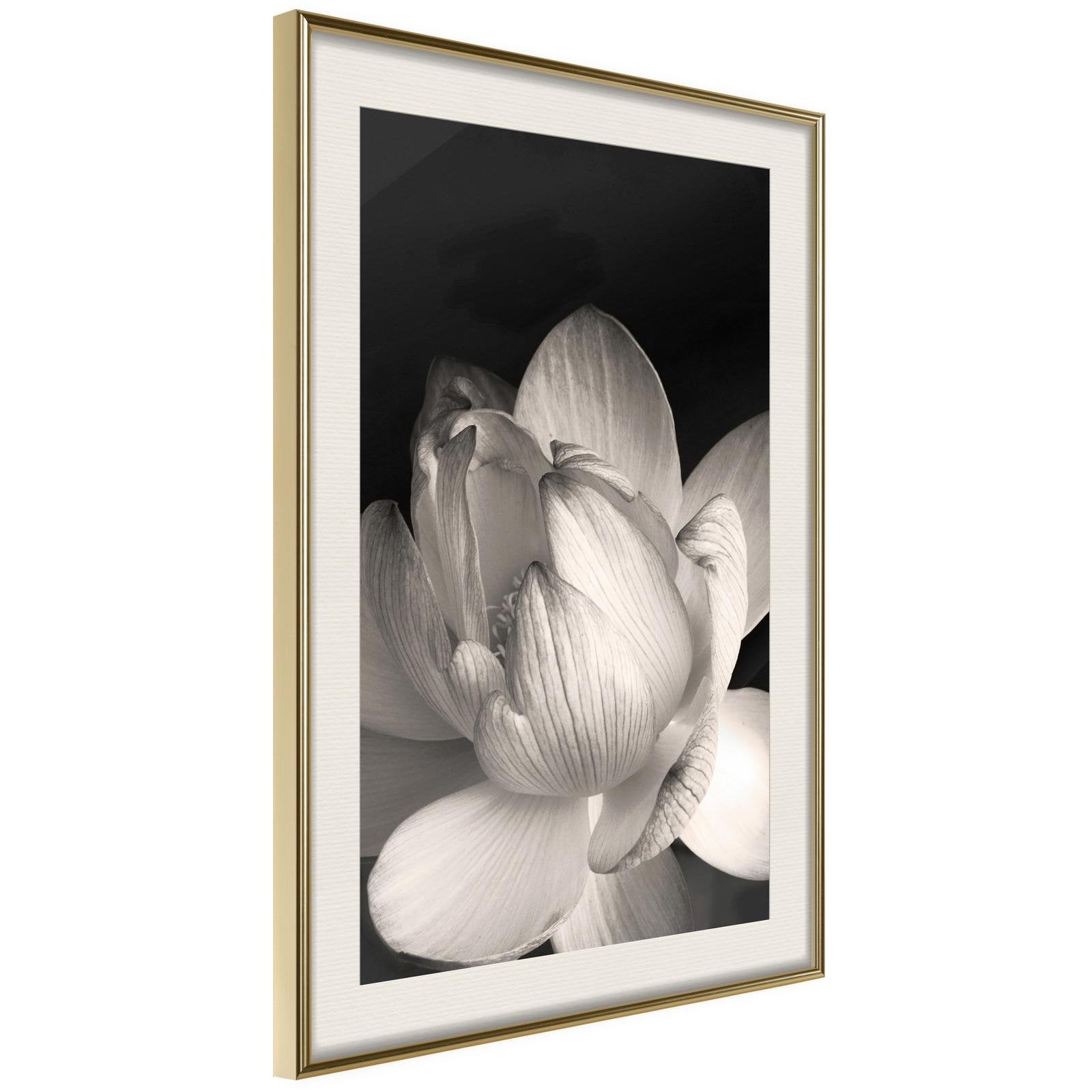Läs mer om Inramad Poster / Tavla - Delicacy of a Flower - 40x60 Guldram med passepartout