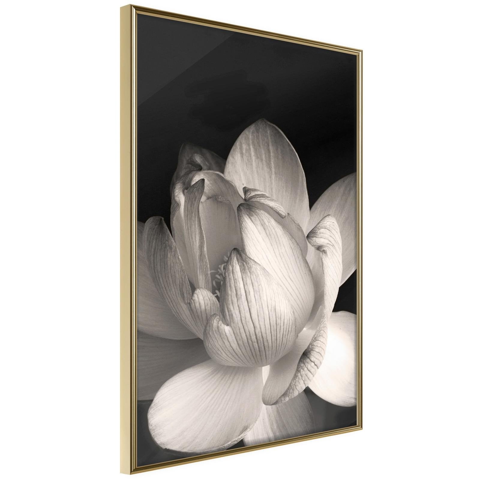 Läs mer om Inramad Poster / Tavla - Delicacy of a Flower - 20x30 Guldram