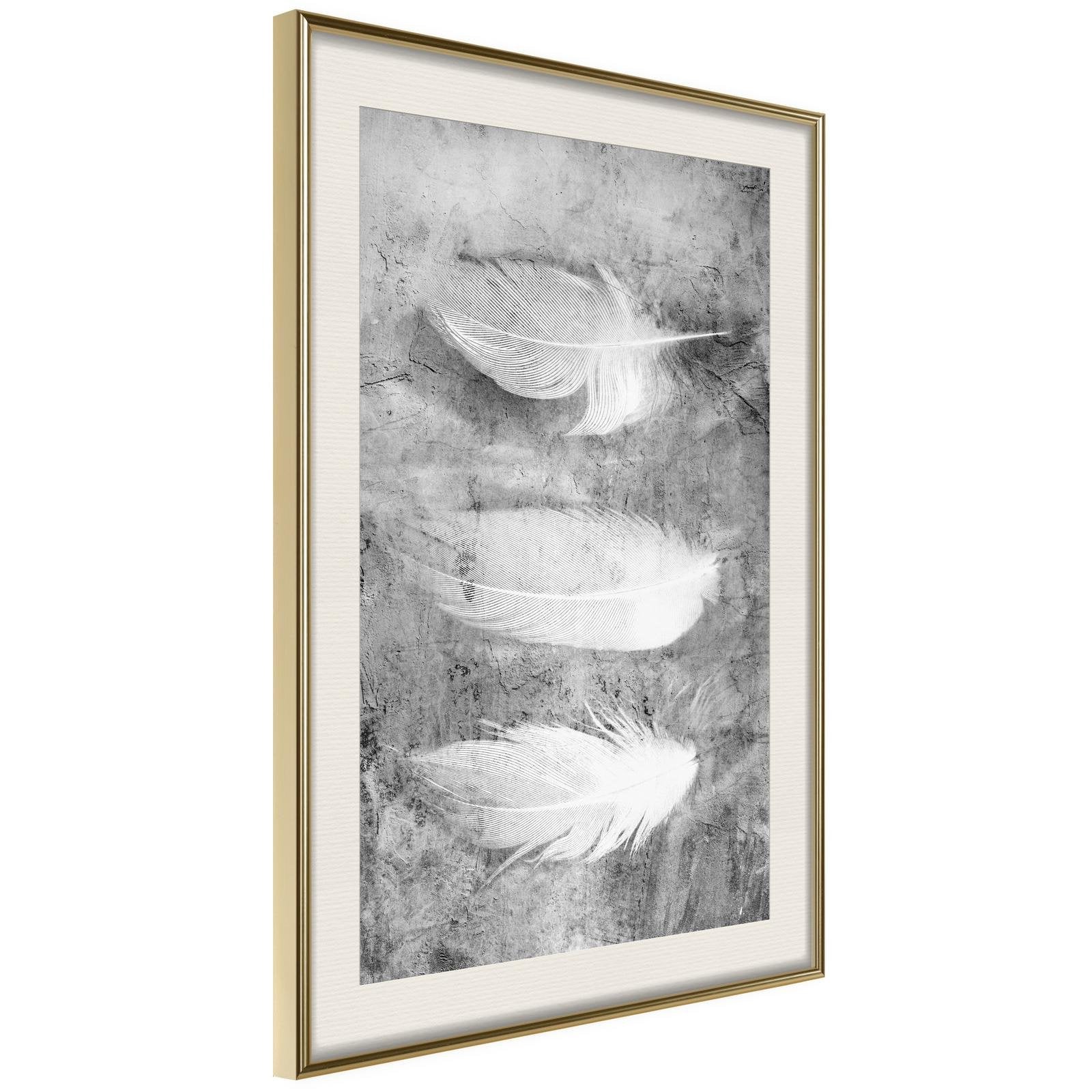Inramad Poster / Tavla - Delicate Feathers - 30x45 Guldram med passepartout