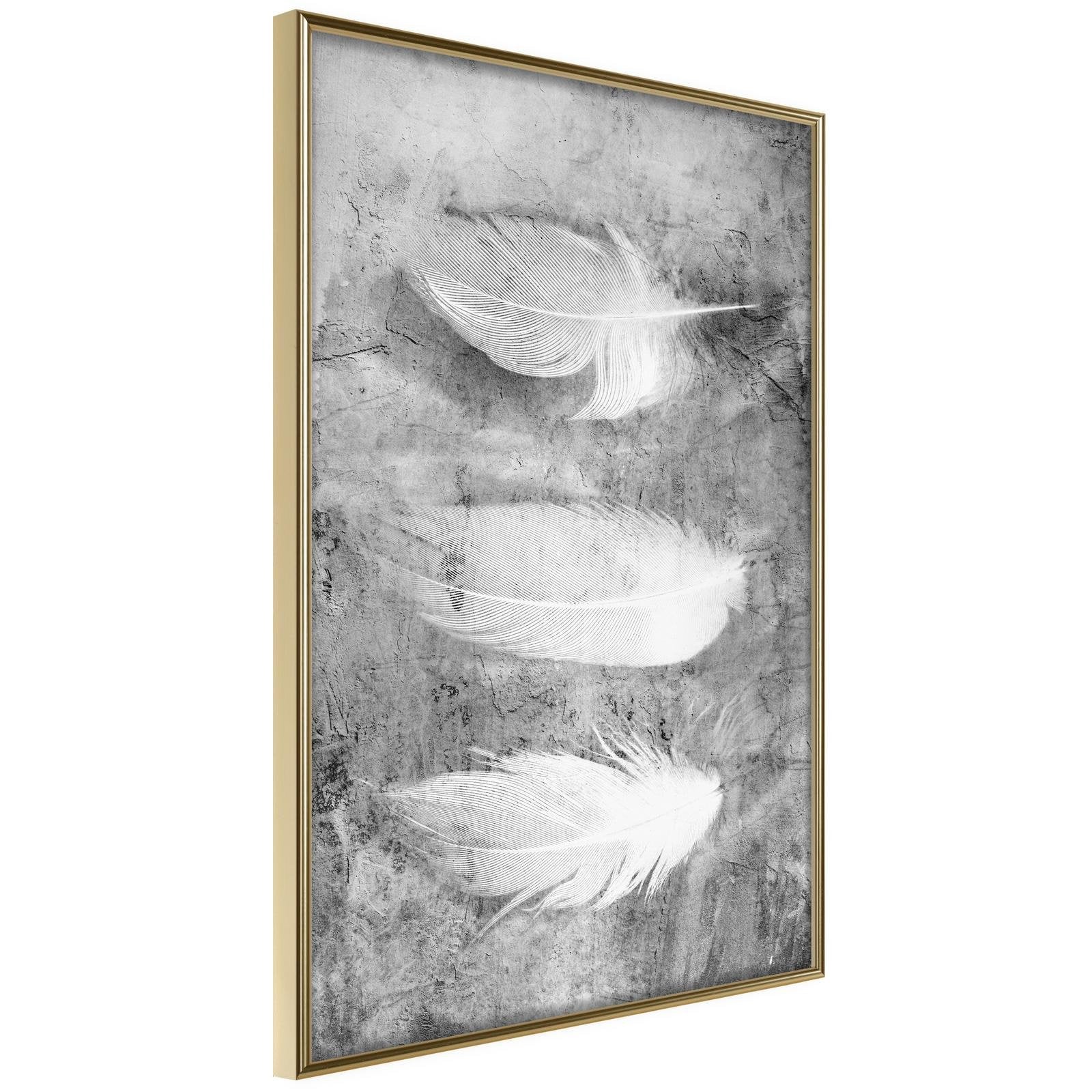 Inramad Poster / Tavla - Delicate Feathers - 40x60 Guldram