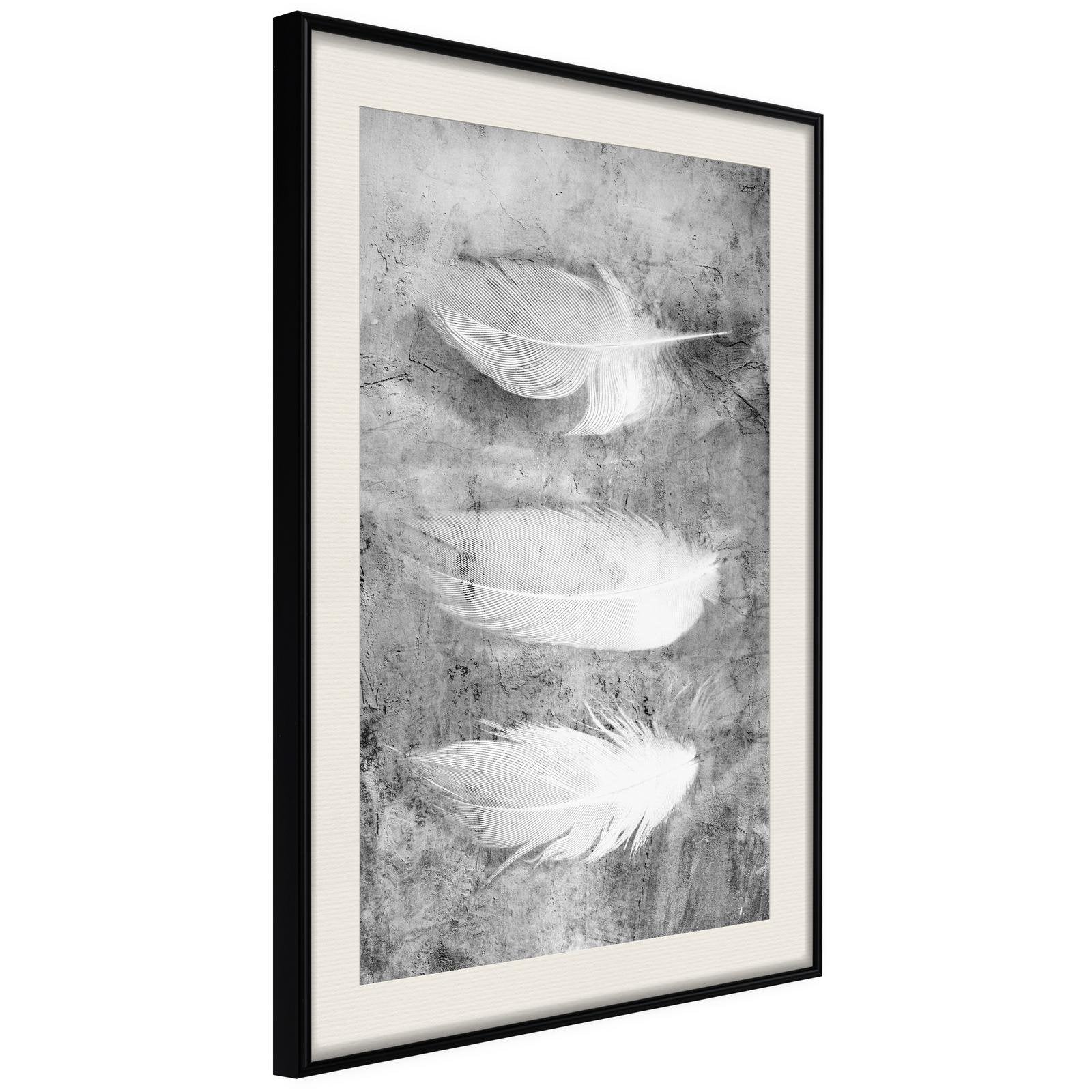 Inramad Poster / Tavla - Delicate Feathers - 40x60 Svart ram med passepartout