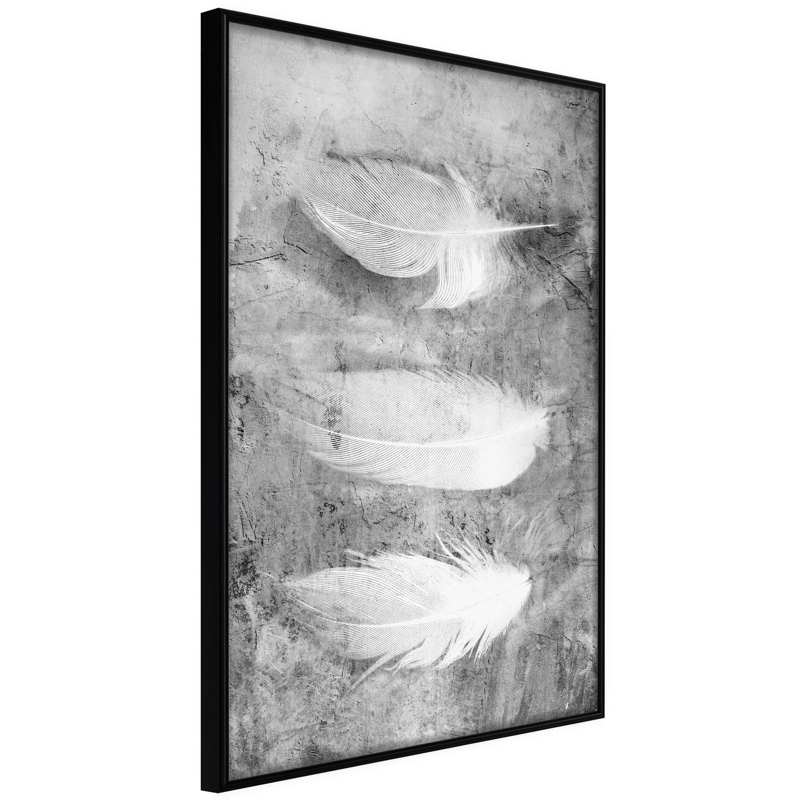 Läs mer om Inramad Poster / Tavla - Delicate Feathers - 30x45 Svart ram