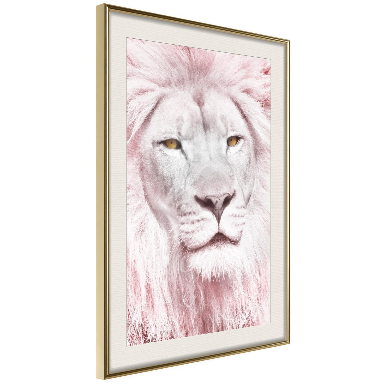 Läs mer om Inramad Poster / Tavla - Dreamy Lion - 40x60 Guldram med passepartout