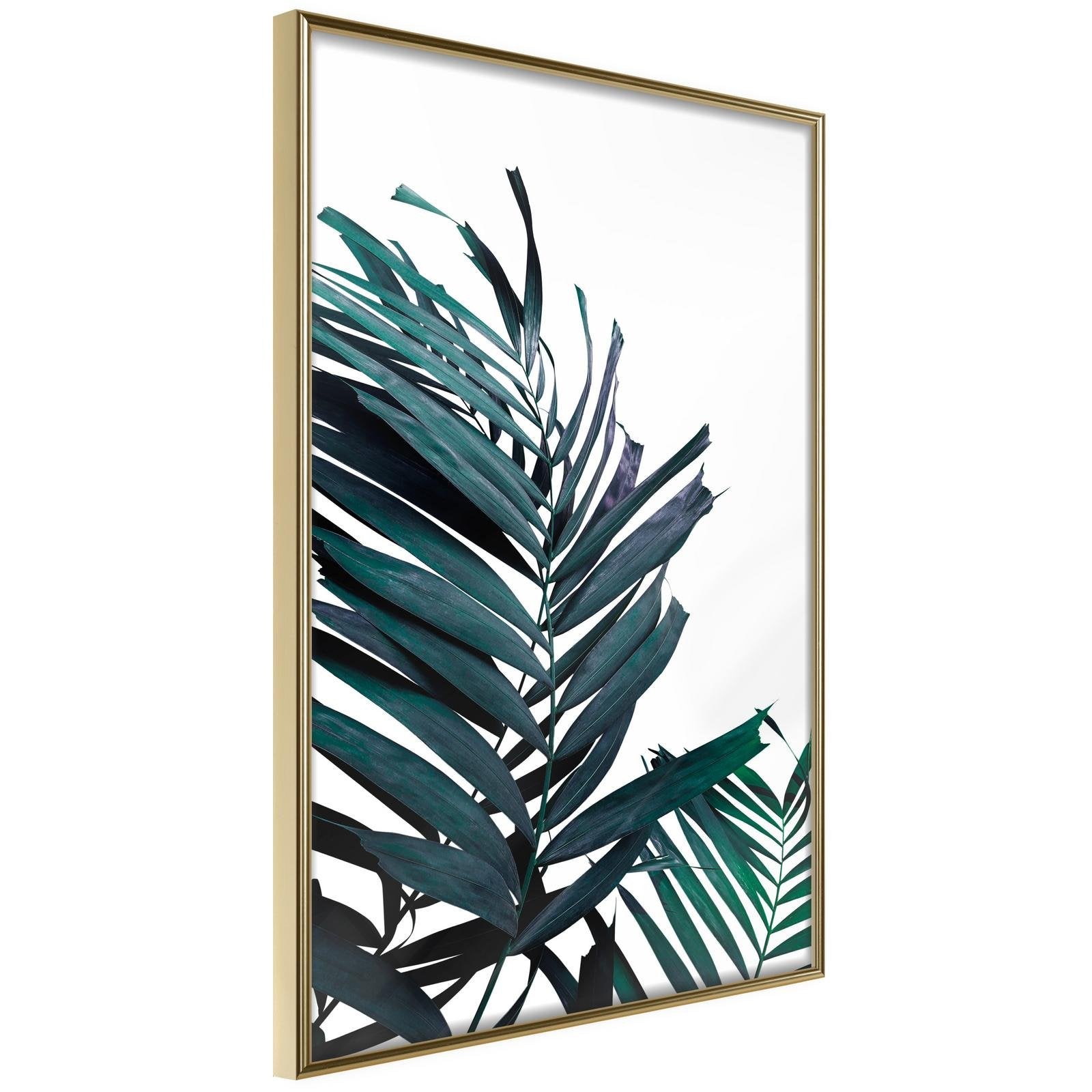 Läs mer om Inramad Poster / Tavla - Evergreen Palm Leaves - 20x30 Guldram