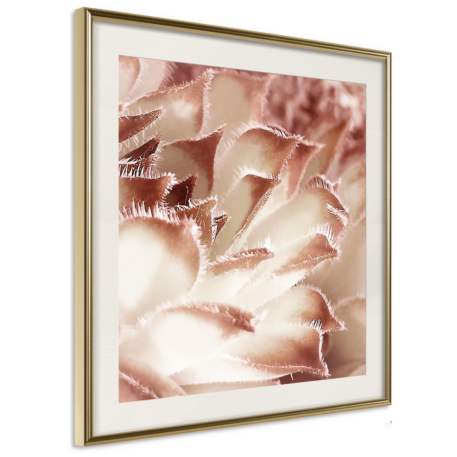 Inramad Poster / Tavla - Floral Calyx - 30x30 Guldram med passepartout