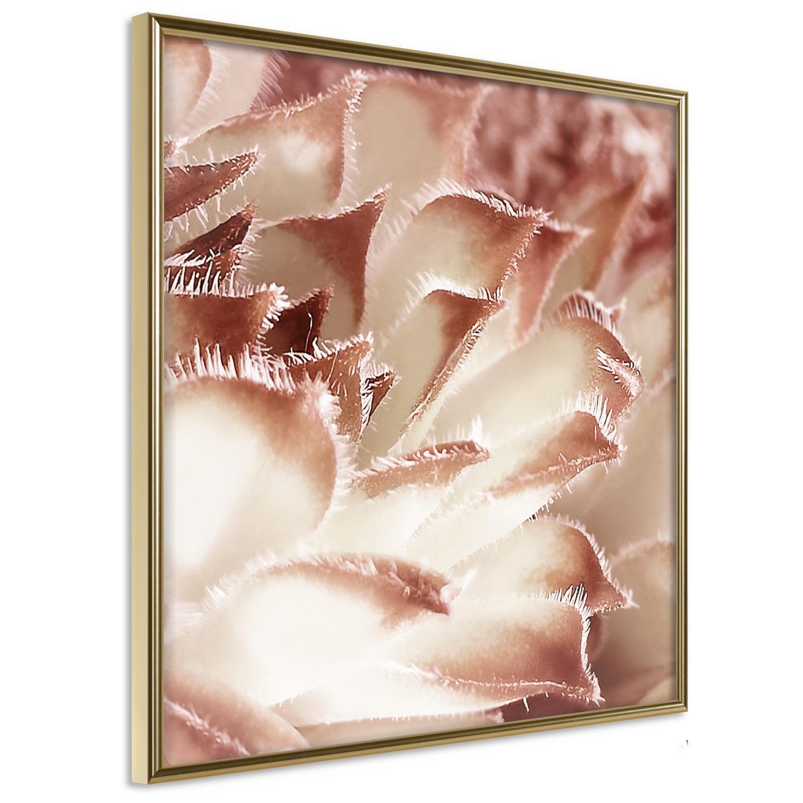 Inramad Poster / Tavla - Floral Calyx - 20x20 Guldram