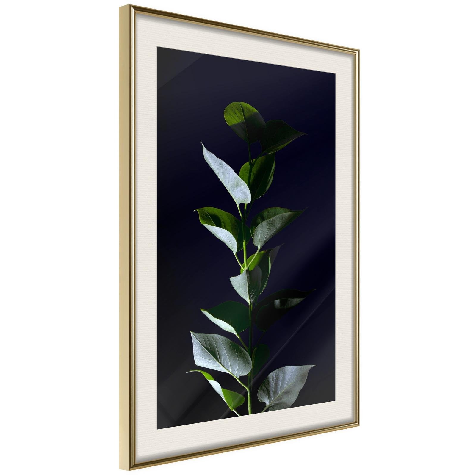 Inramad Poster / Tavla - Floral Elegance - 20x30 Svart ram