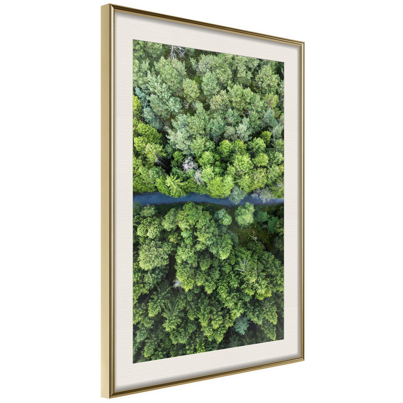 Läs mer om Inramad Poster / Tavla - Forest from a Birds Eye View - 40x60 Guldram med passepartout