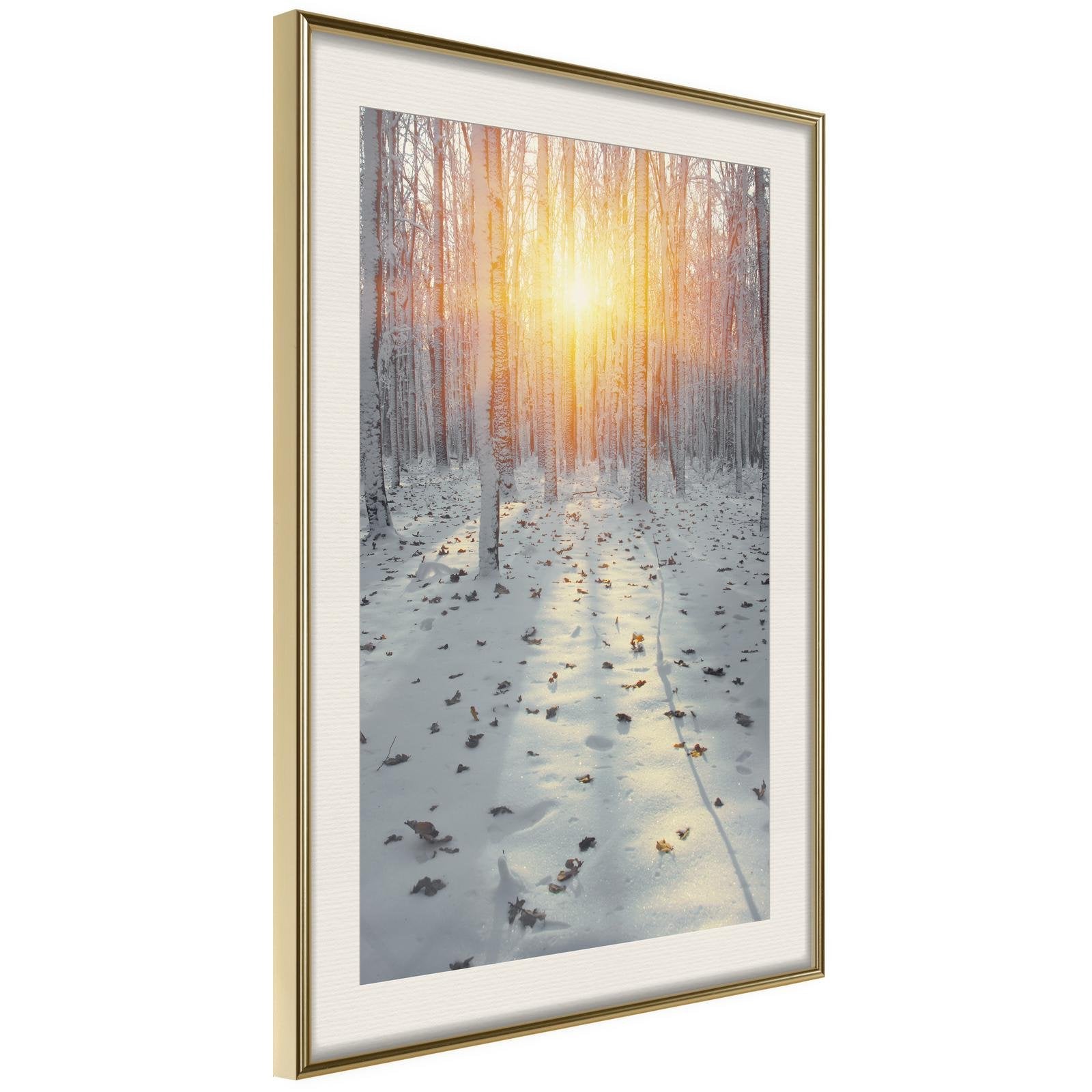 Inramad Poster / Tavla - Frosty Sunset - 30x45 Guldram med passepartout