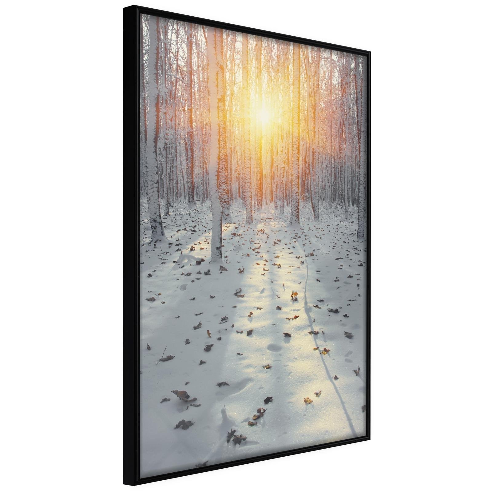 Inramad Poster / Tavla - Frosty Sunset - 20x30 Svart ram