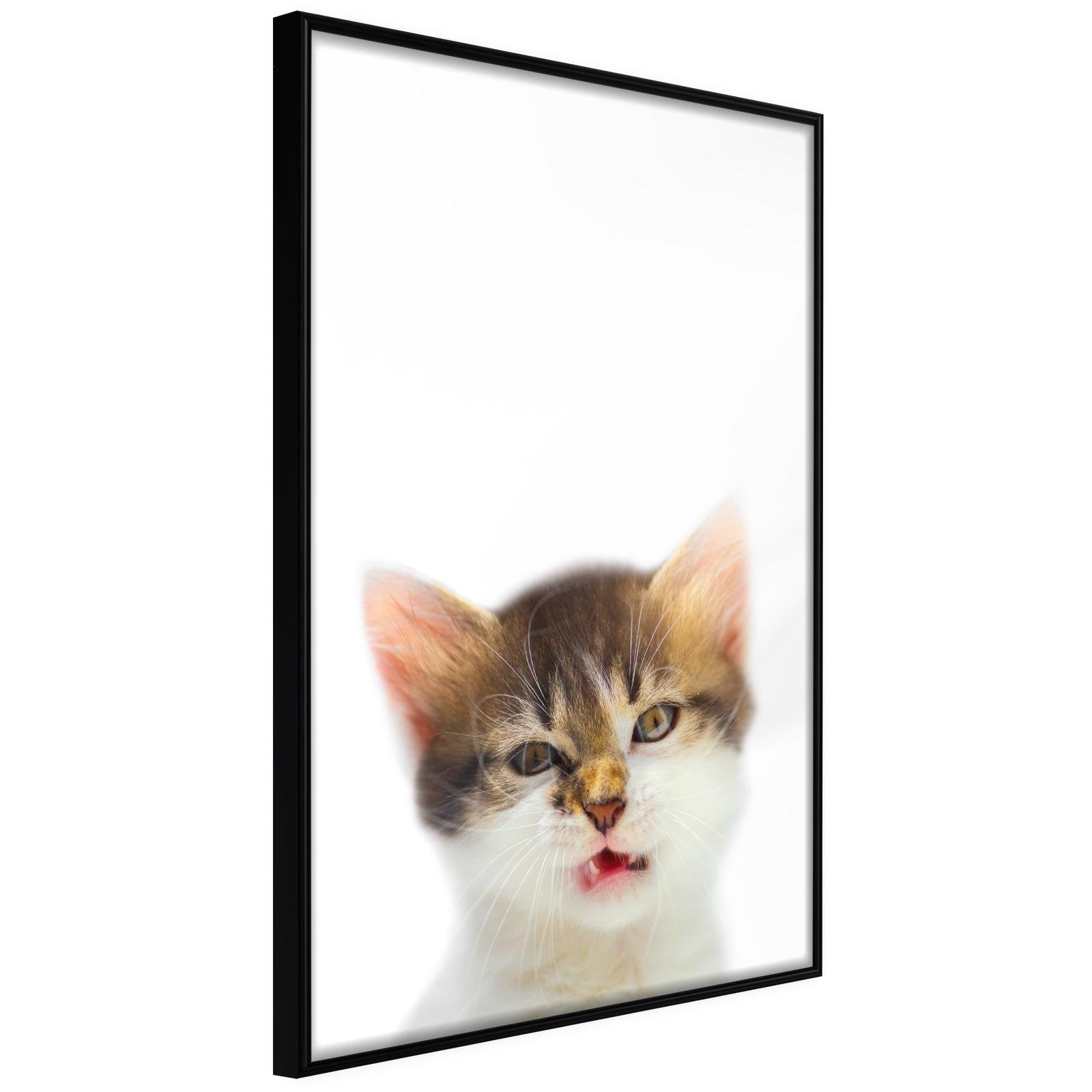 Läs mer om Inramad Poster / Tavla - Funny Kitten - 30x45 Svart ram