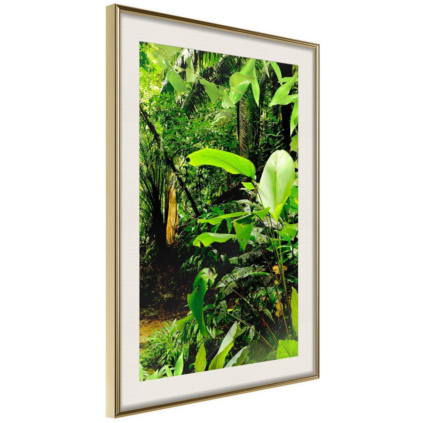 Läs mer om Inramad Poster / Tavla - In the Rainforest - 40x60 Guldram med passepartout