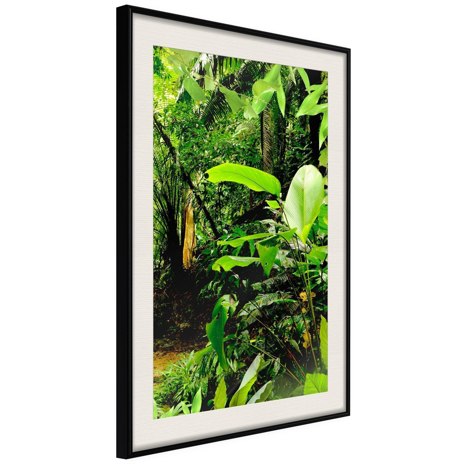 Läs mer om Inramad Poster / Tavla - In the Rainforest - 20x30 Svart ram med passepartout