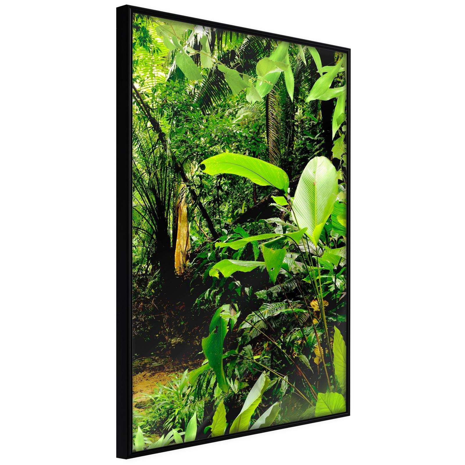 Läs mer om Inramad Poster / Tavla - In the Rainforest - 20x30 Svart ram