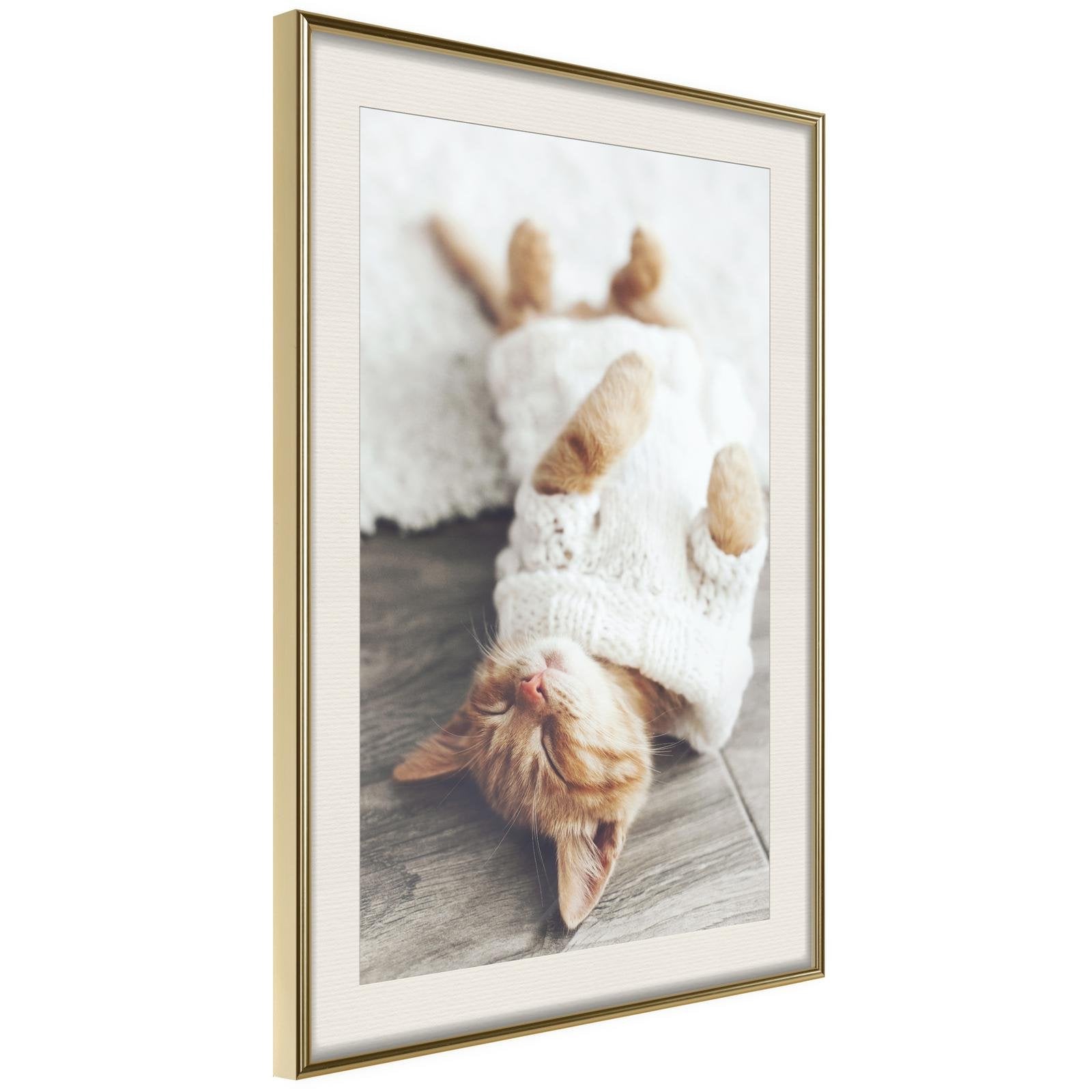 Inramad Poster / Tavla - Kitten Life - 20x30 Svart ram