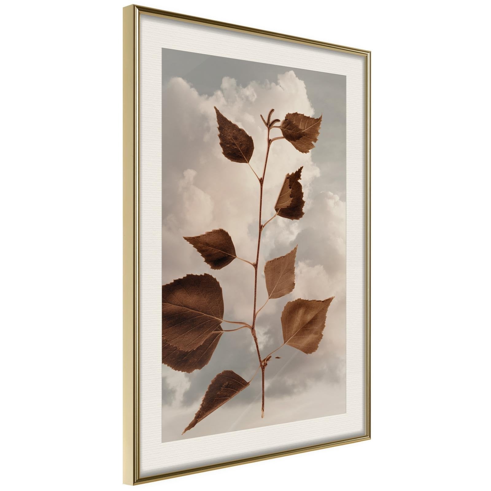 Läs mer om Inramad Poster / Tavla - Leaves in the Clouds - 40x60 Guldram med passepartout