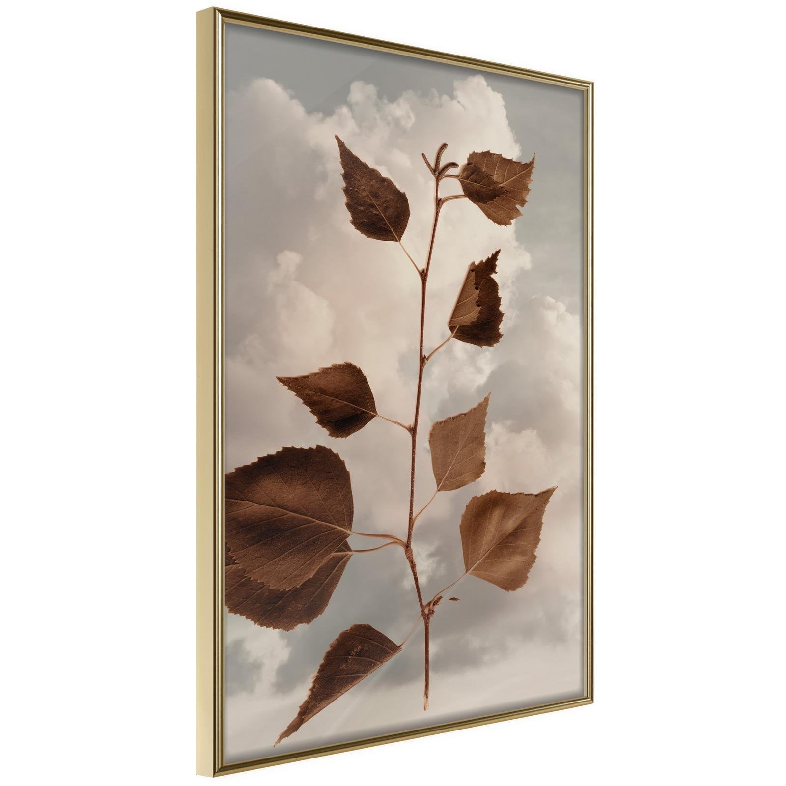 Läs mer om Inramad Poster / Tavla - Leaves in the Clouds - 20x30 Guldram