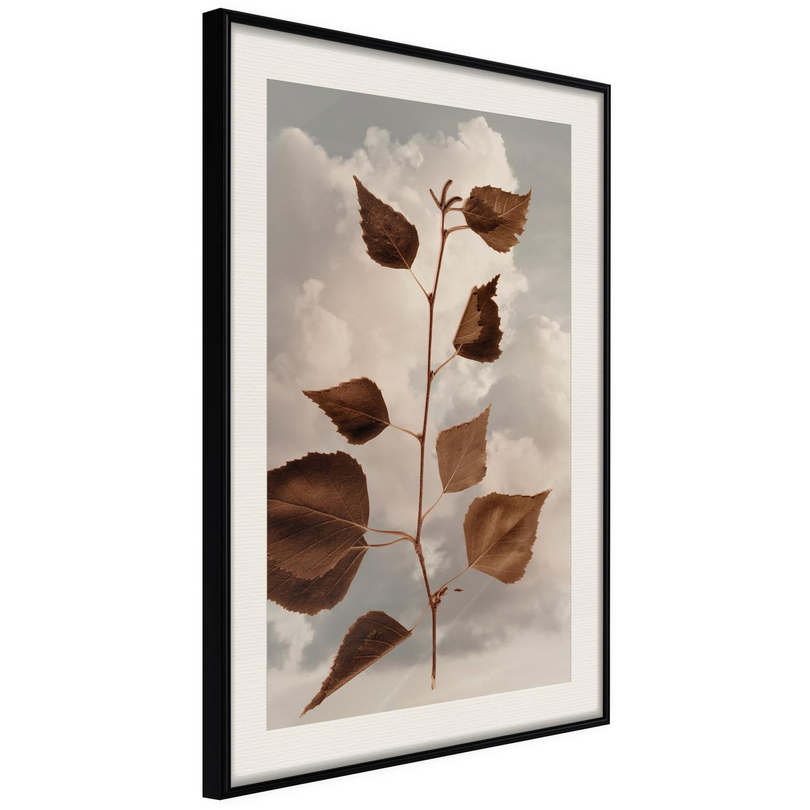 Läs mer om Inramad Poster / Tavla - Leaves in the Clouds - 40x60 Svart ram med passepartout
