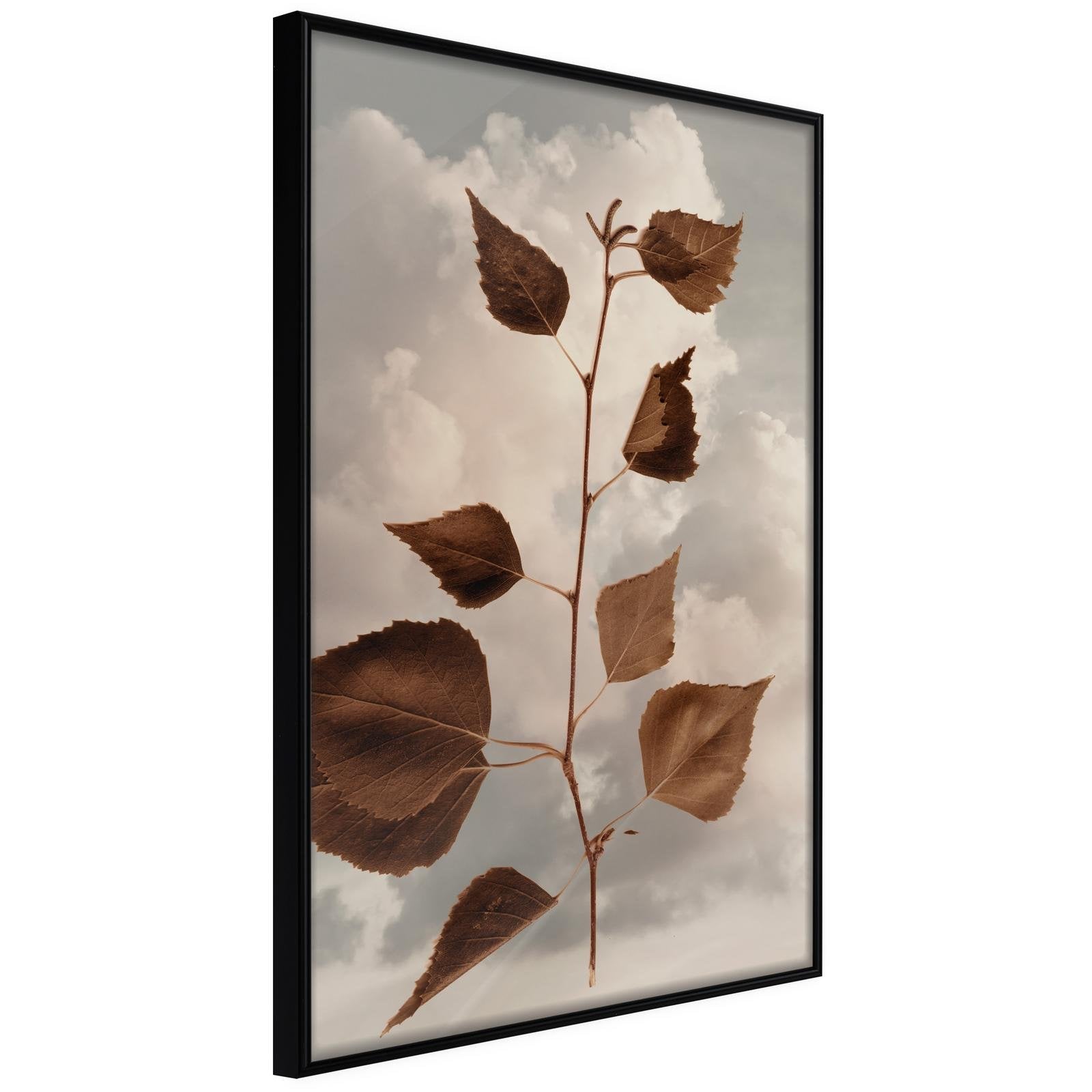 Läs mer om Inramad Poster / Tavla - Leaves in the Clouds - 30x45 Svart ram