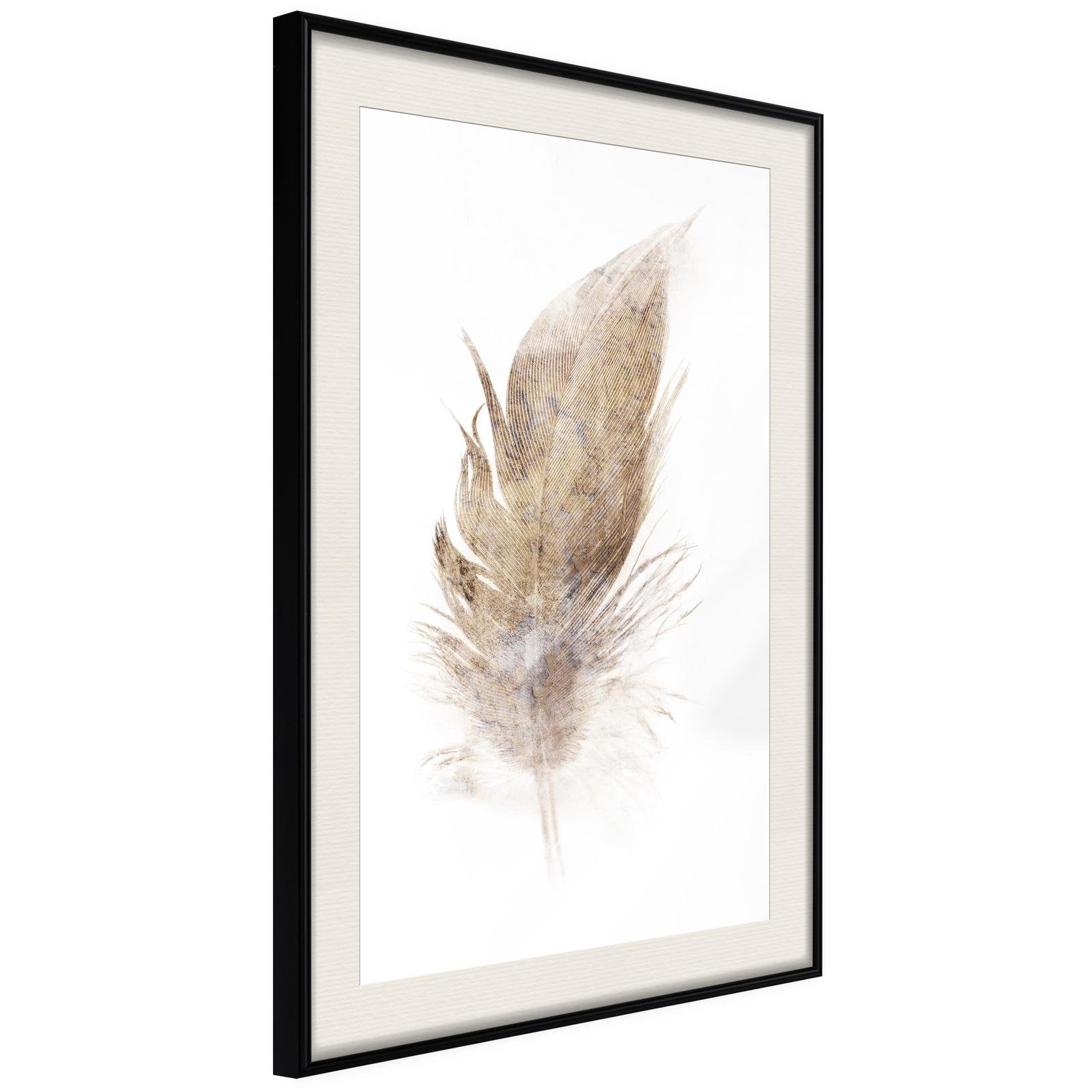 Läs mer om Inramad Poster / Tavla - Lost Feather