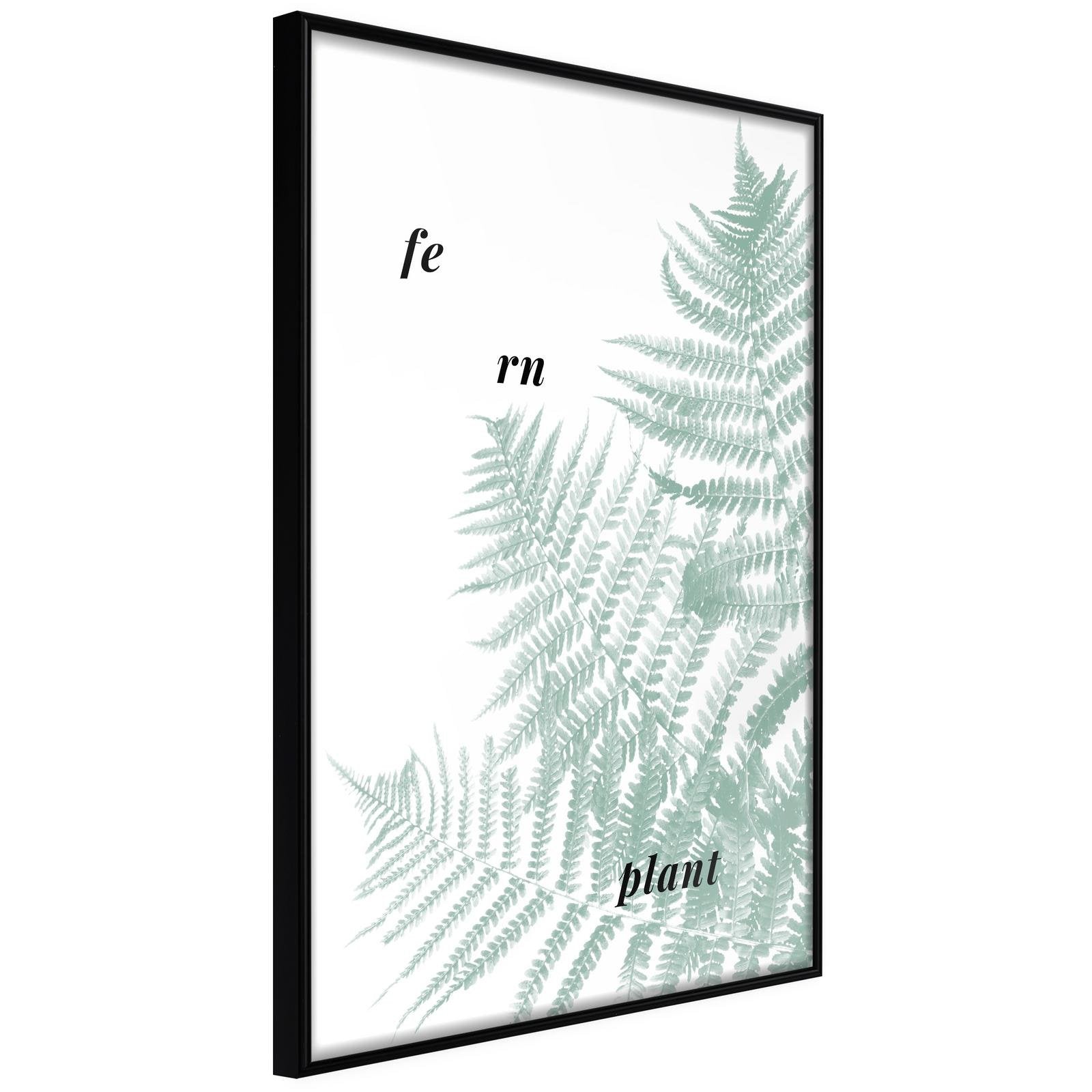 Läs mer om Inramad Poster / Tavla - Pale Green Fern - 40x60 Svart ram