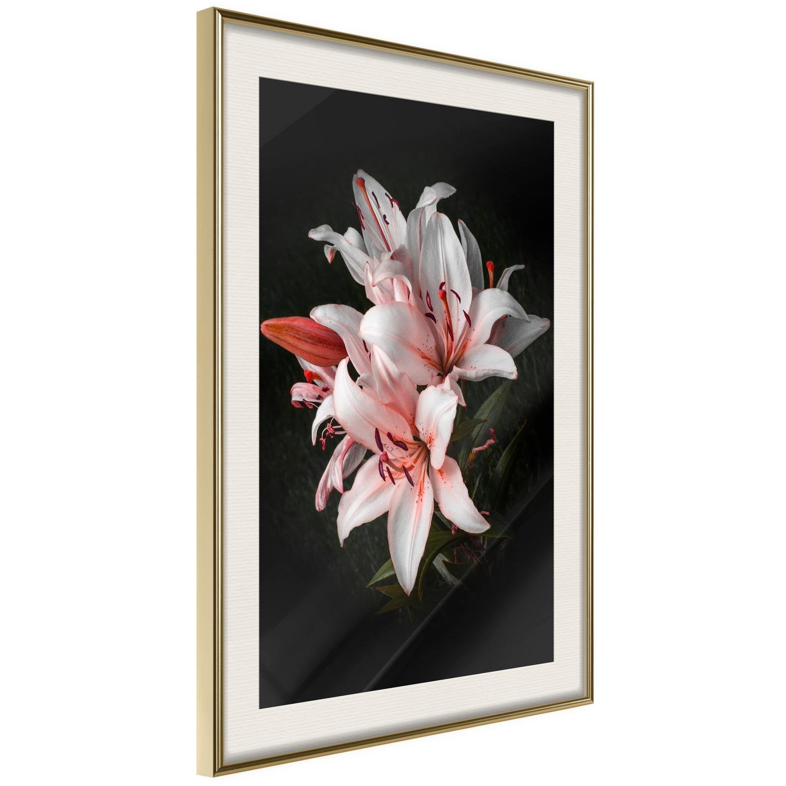 Läs mer om Inramad Poster / Tavla - Pale Pink Lilies - 40x60 Guldram med passepartout