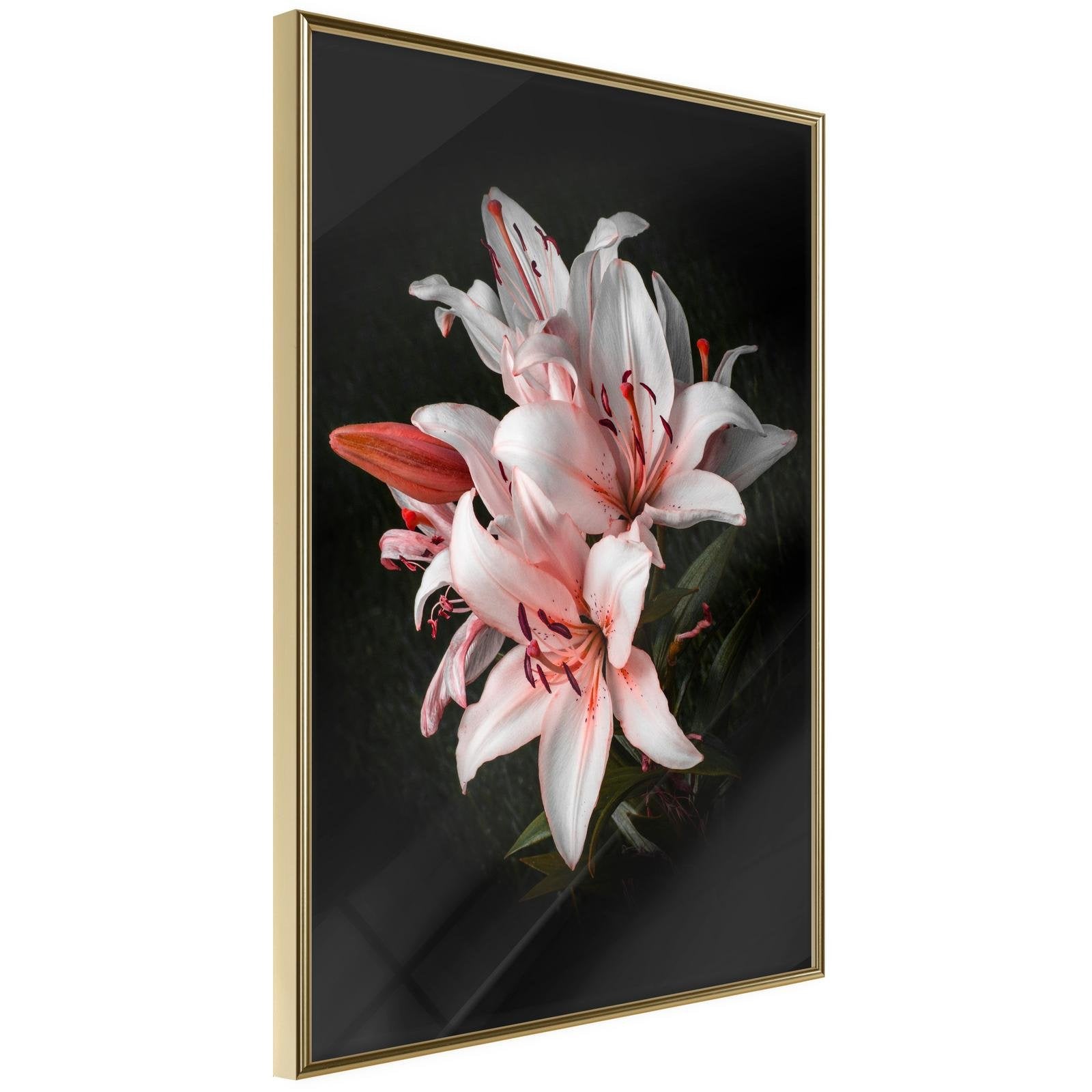 Läs mer om Inramad Poster / Tavla - Pale Pink Lilies - 40x60 Guldram