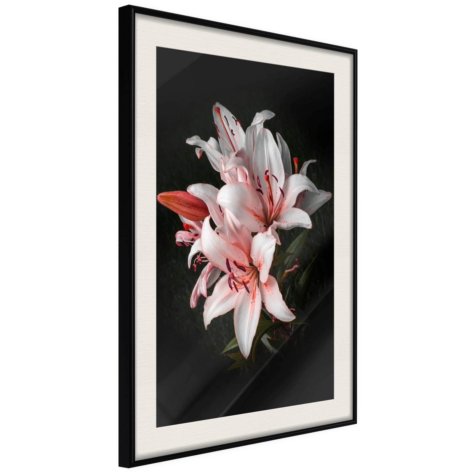 Läs mer om Inramad Poster / Tavla - Pale Pink Lilies - 40x60 Svart ram med passepartout