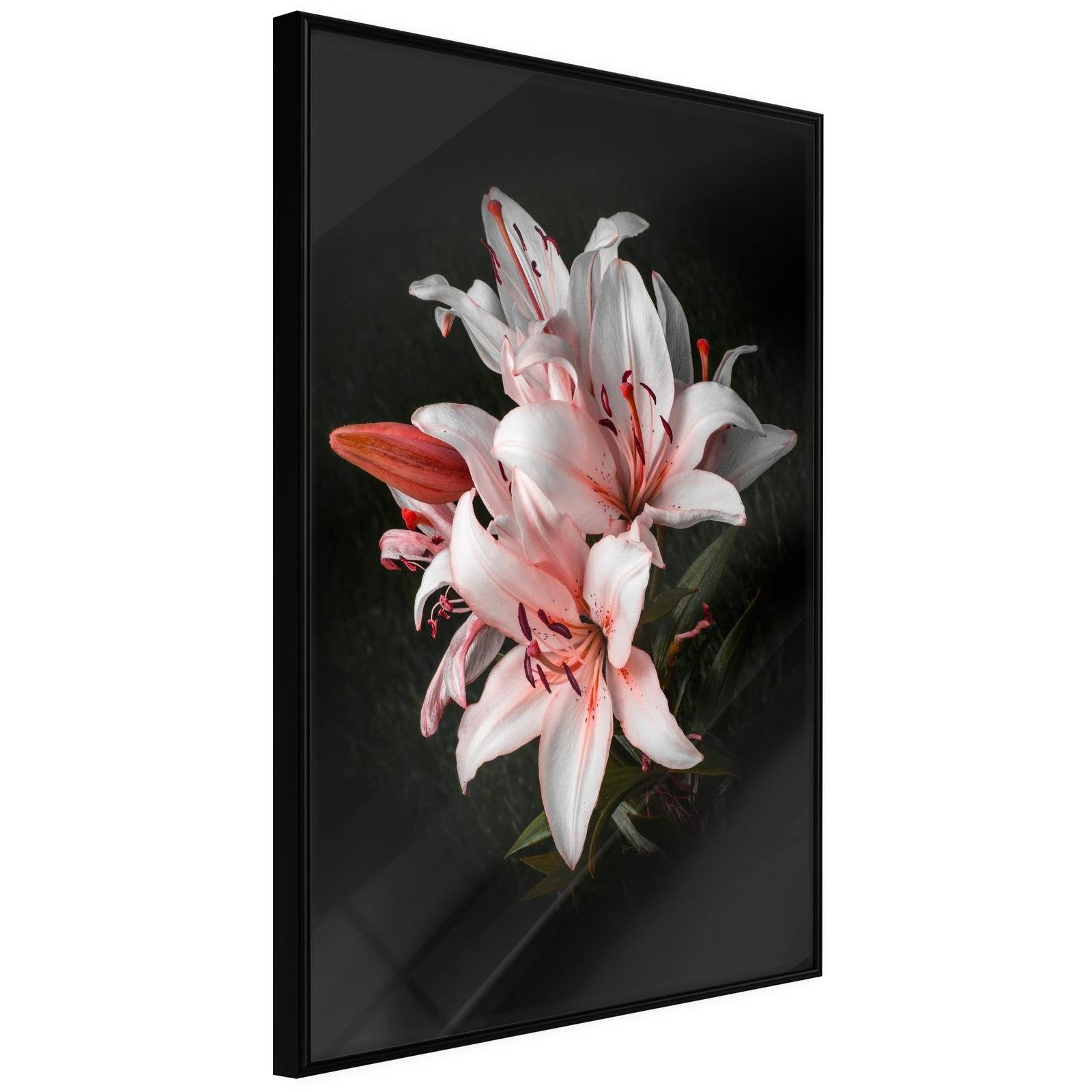 Läs mer om Inramad Poster / Tavla - Pale Pink Lilies - 30x45 Svart ram