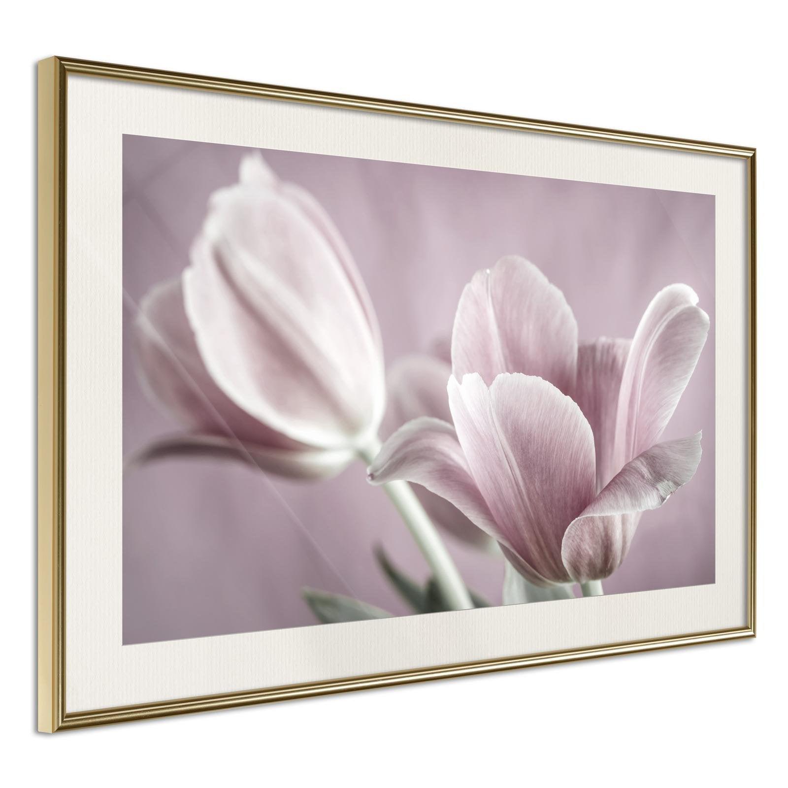 Läs mer om Inramad Poster / Tavla - Pastel Tulips I - 90x60 Guldram med passepartout