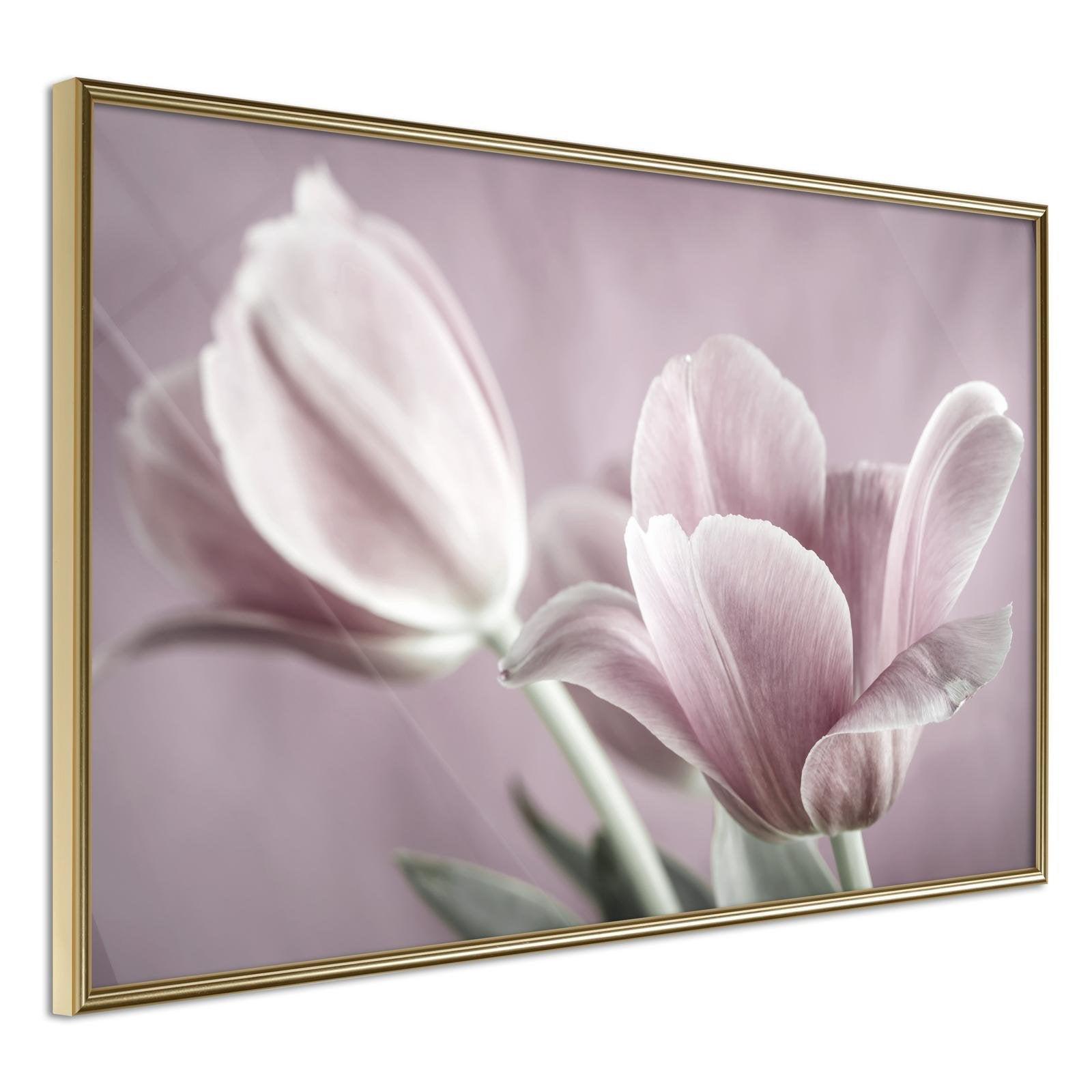 Läs mer om Inramad Poster / Tavla - Pastel Tulips I - 30x20 Guldram
