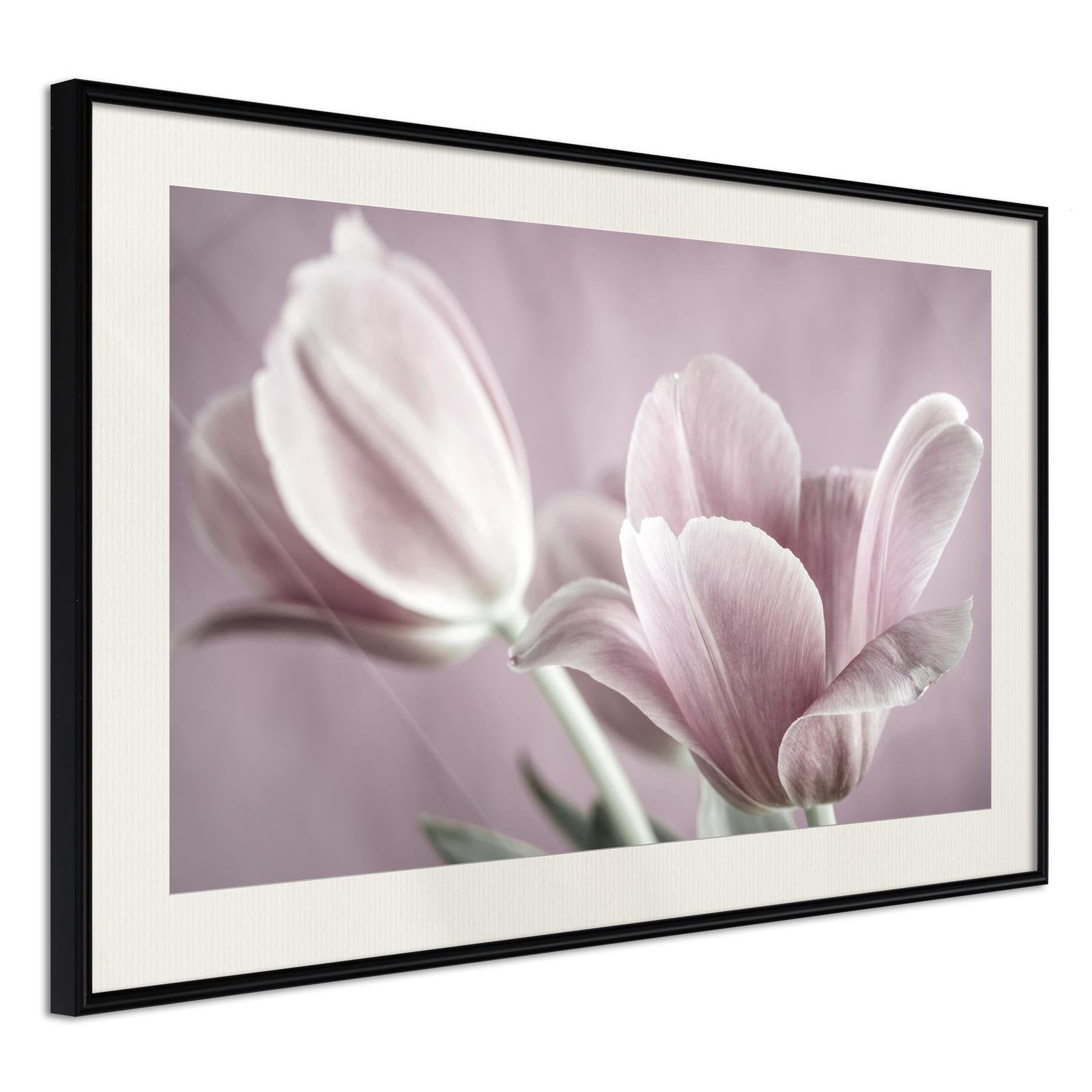 Läs mer om Inramad Poster / Tavla - Pastel Tulips I - 45x30 Svart ram med passepartout