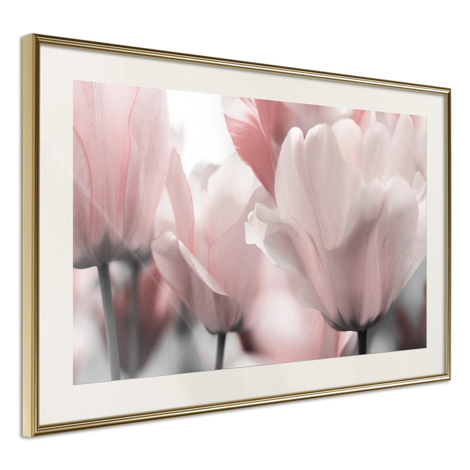Inramad Poster / Tavla - Pastel Tulips II - 30x20 Svart ram
