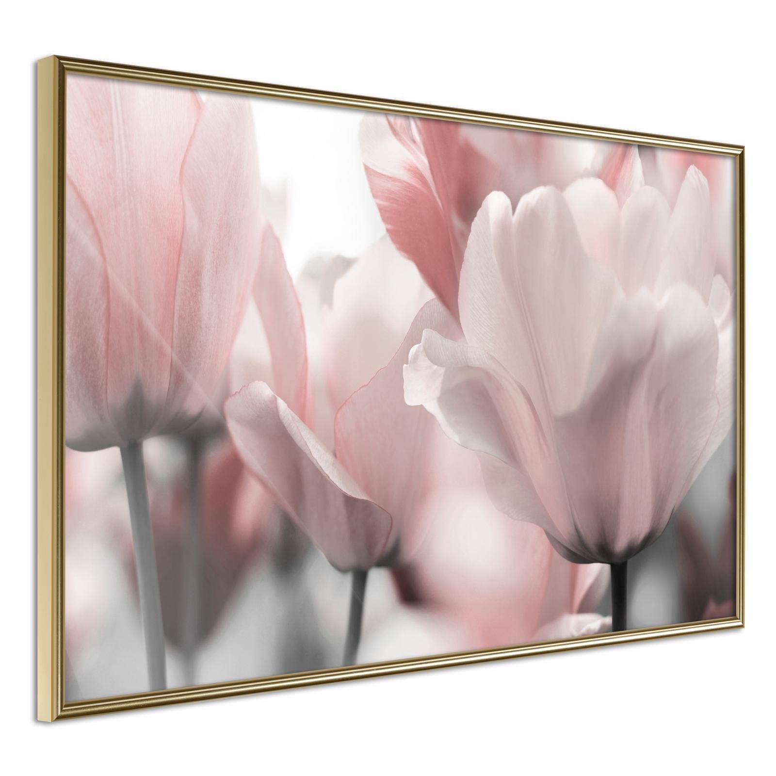 Läs mer om Inramad Poster / Tavla - Pastel Tulips II - 45x30 Guldram
