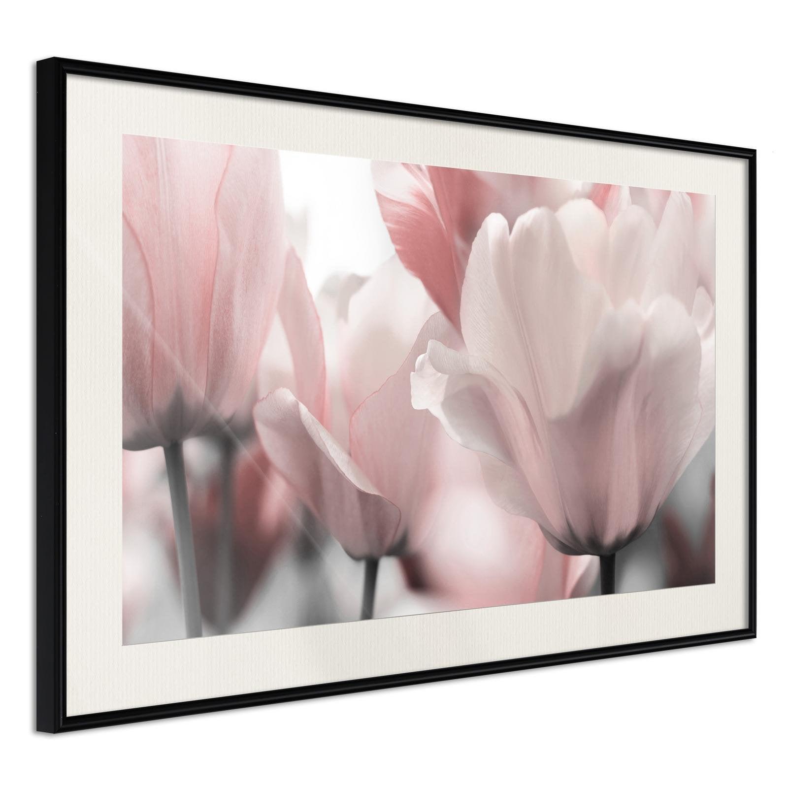 Läs mer om Inramad Poster / Tavla - Pastel Tulips II - 45x30 Svart ram med passepartout
